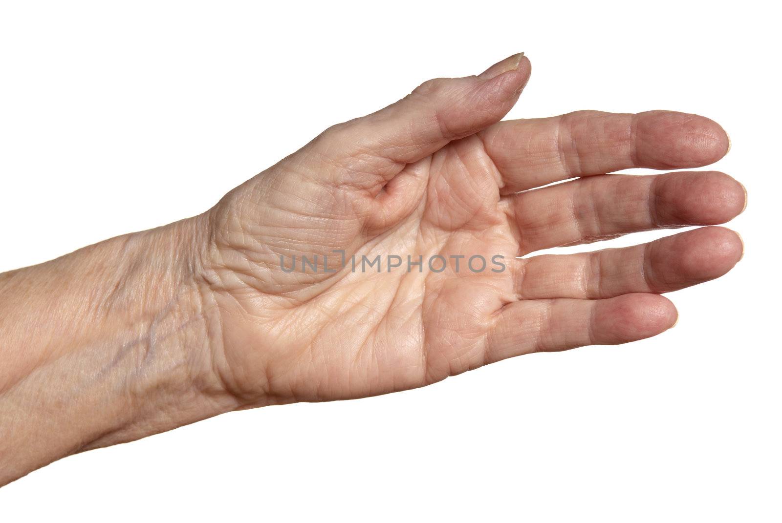 Studio shot of female hand. Isolated on white background.