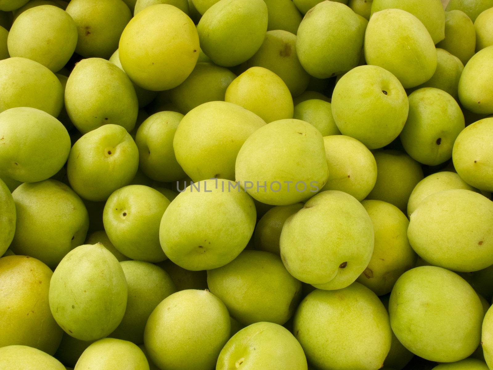 Heap group of many fresh green plum