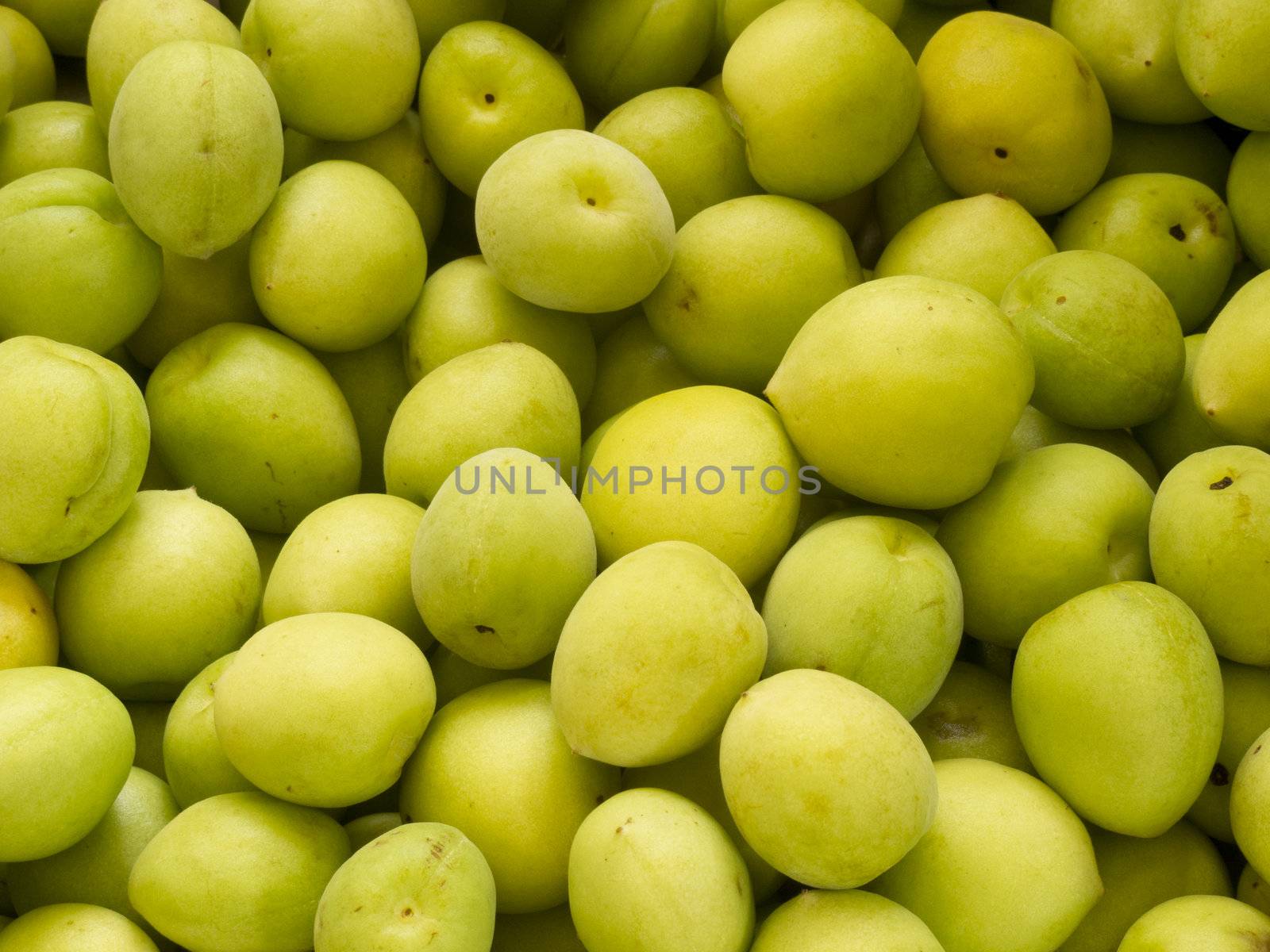 Heap group of many fresh green plum