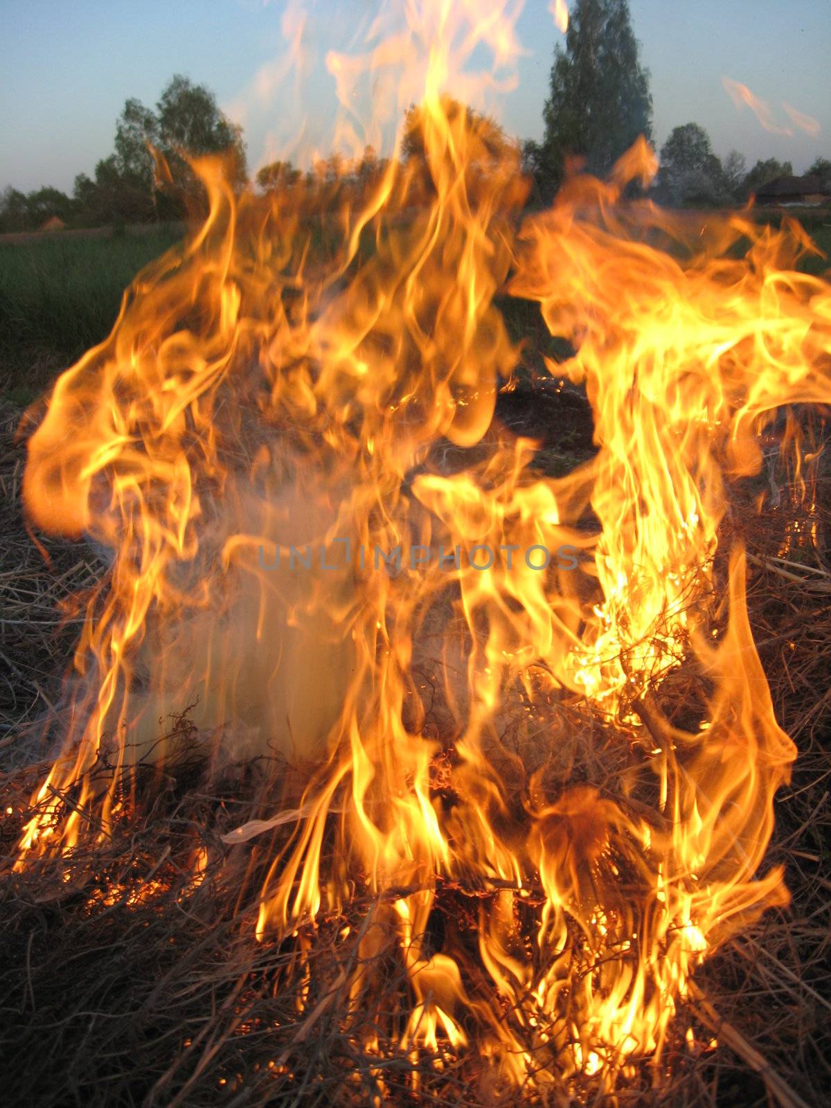 body of flame inflaming in a field