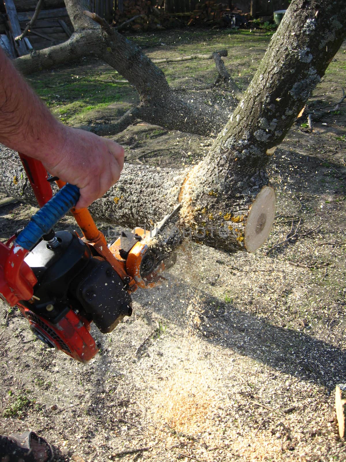 The man working with petrol saw by alexmak