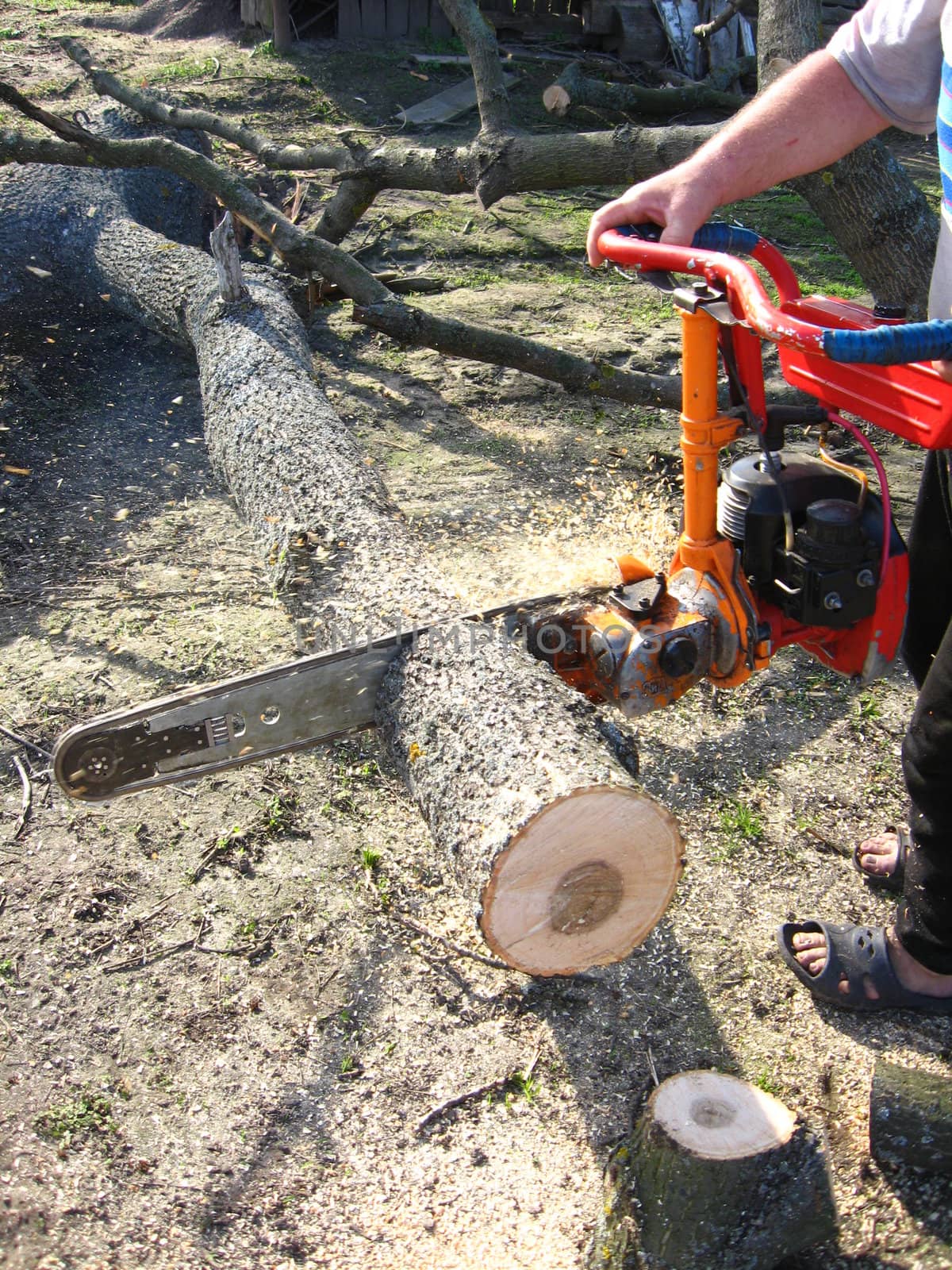 The man working with petrol saw by alexmak