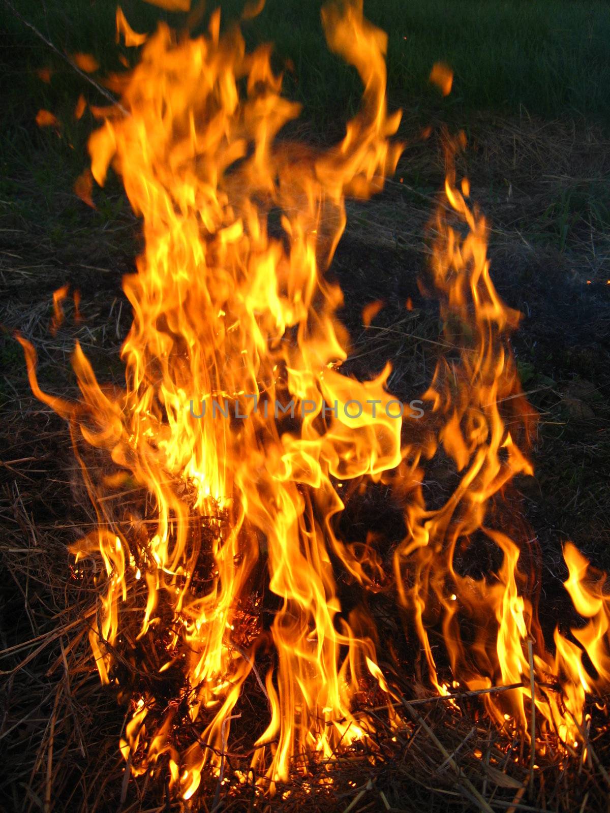 Fire in the field by alexmak