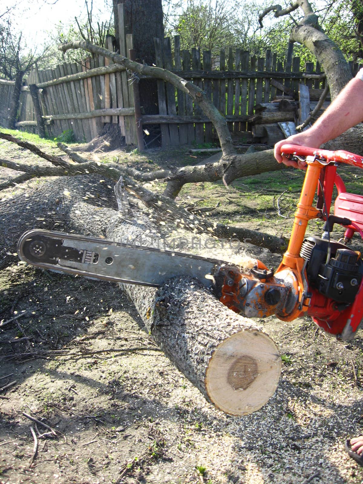 The man sawing the firewoods by petrol saw