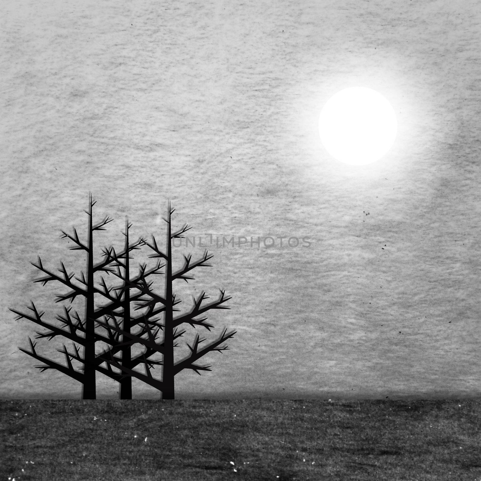 black and white trees and sun on charcoal background