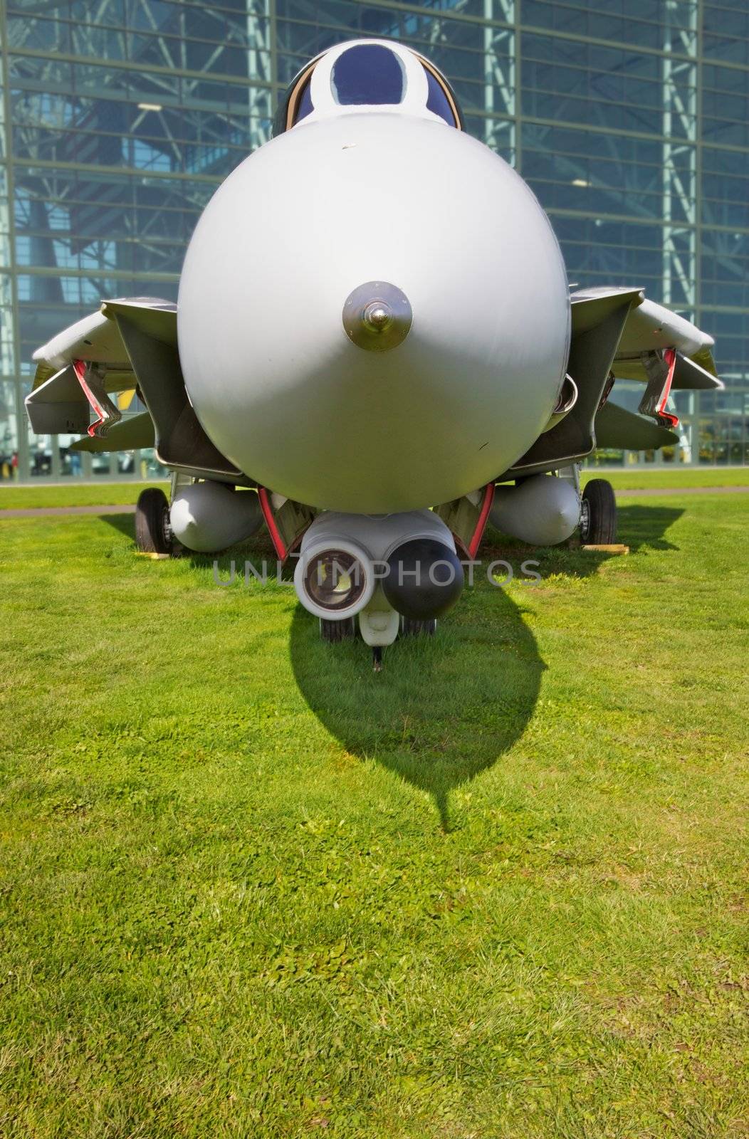Close up Front Profile Jet Fighter on green grass