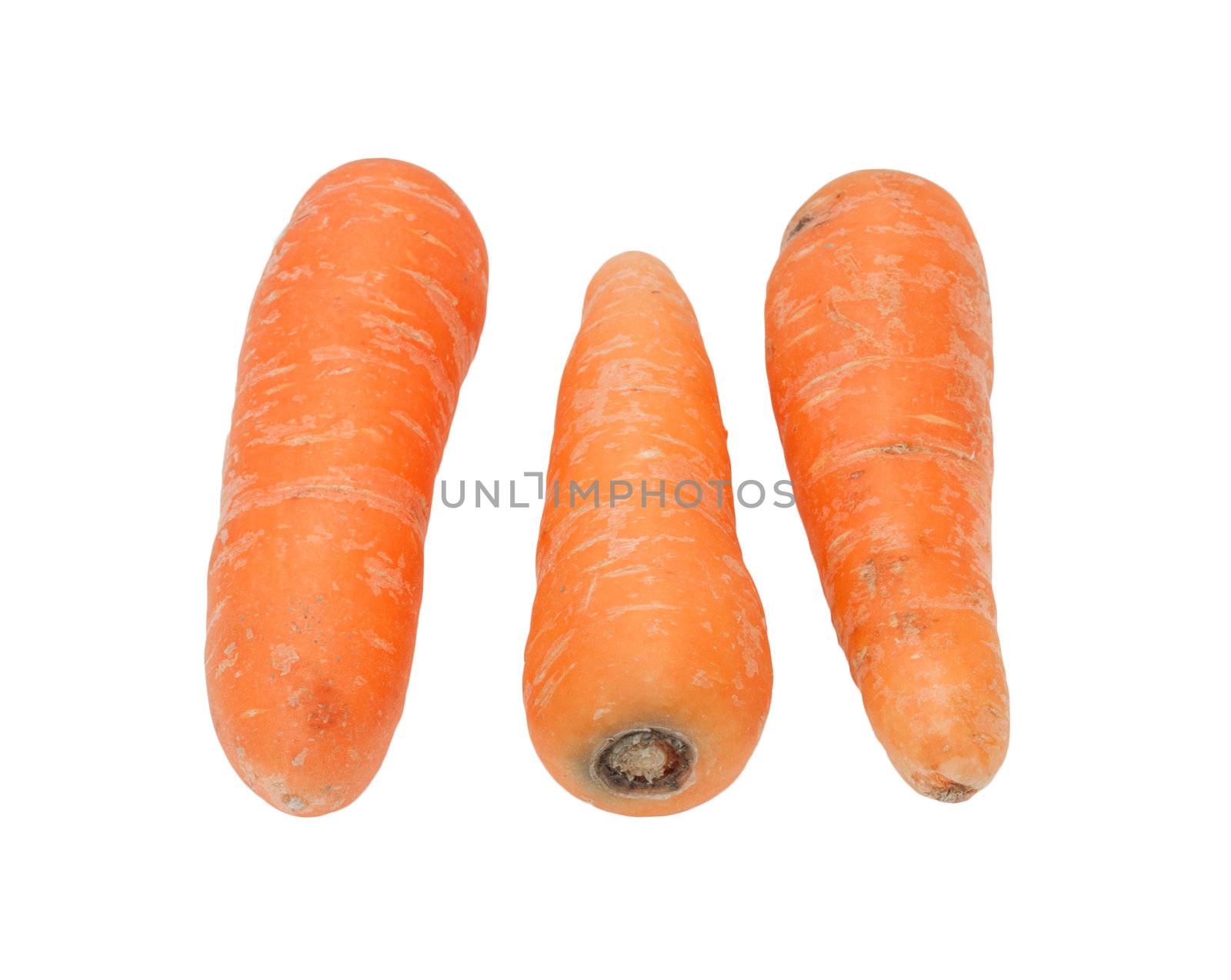 Carrots isolated on white  by schankz