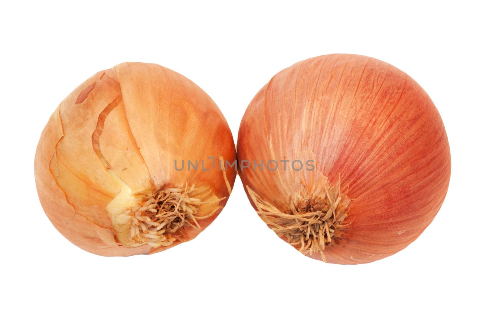 Orange onion vegetable closeup on white background 