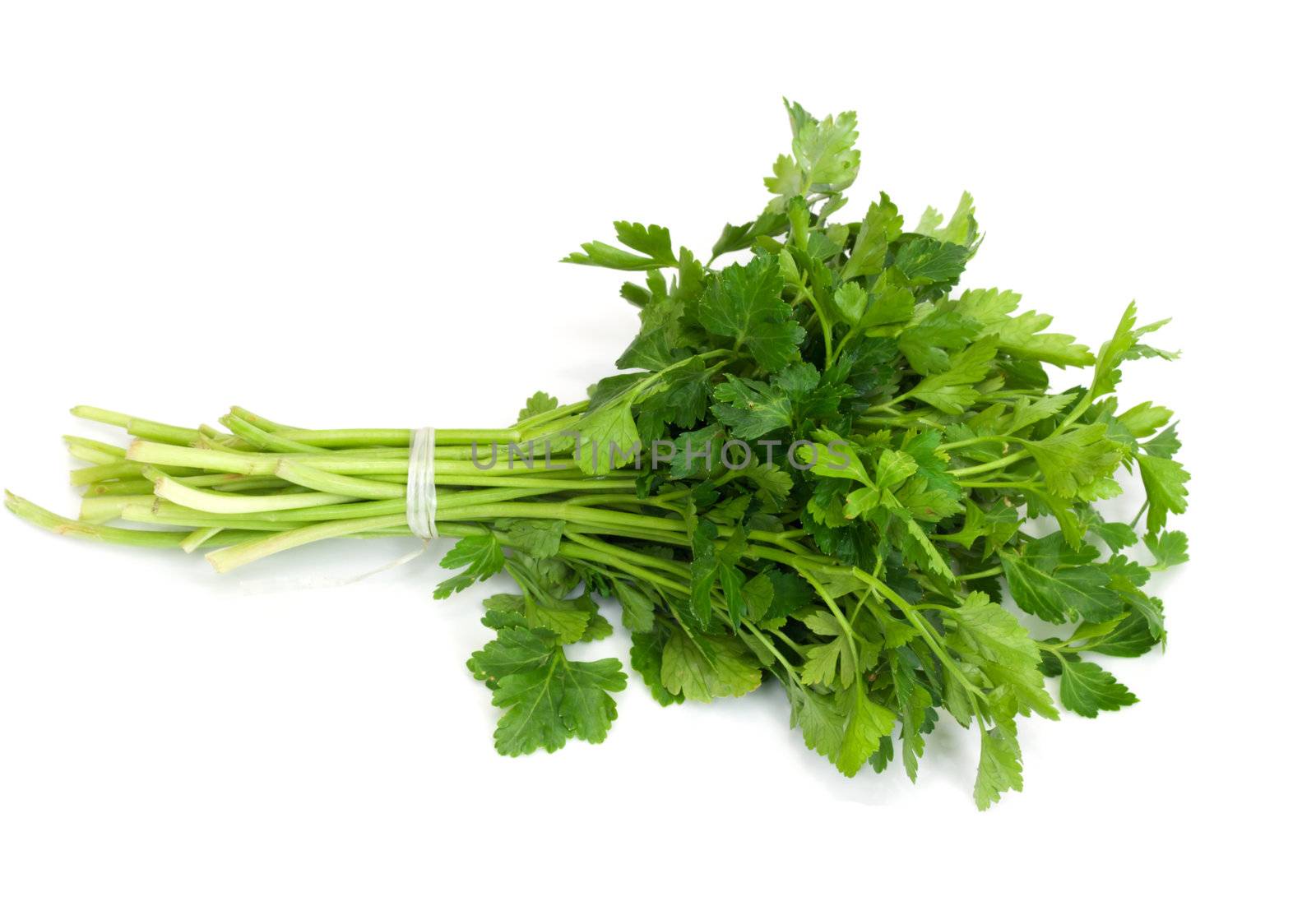 Bunch of Fresh green parsley isolated on white background  by schankz