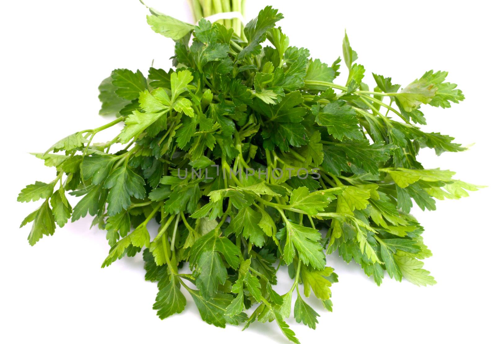 Bunch of Fresh green parsley isolated on white background 