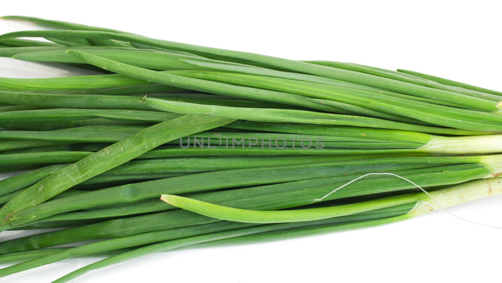 Healthy vegetable green onion isolated white on background 