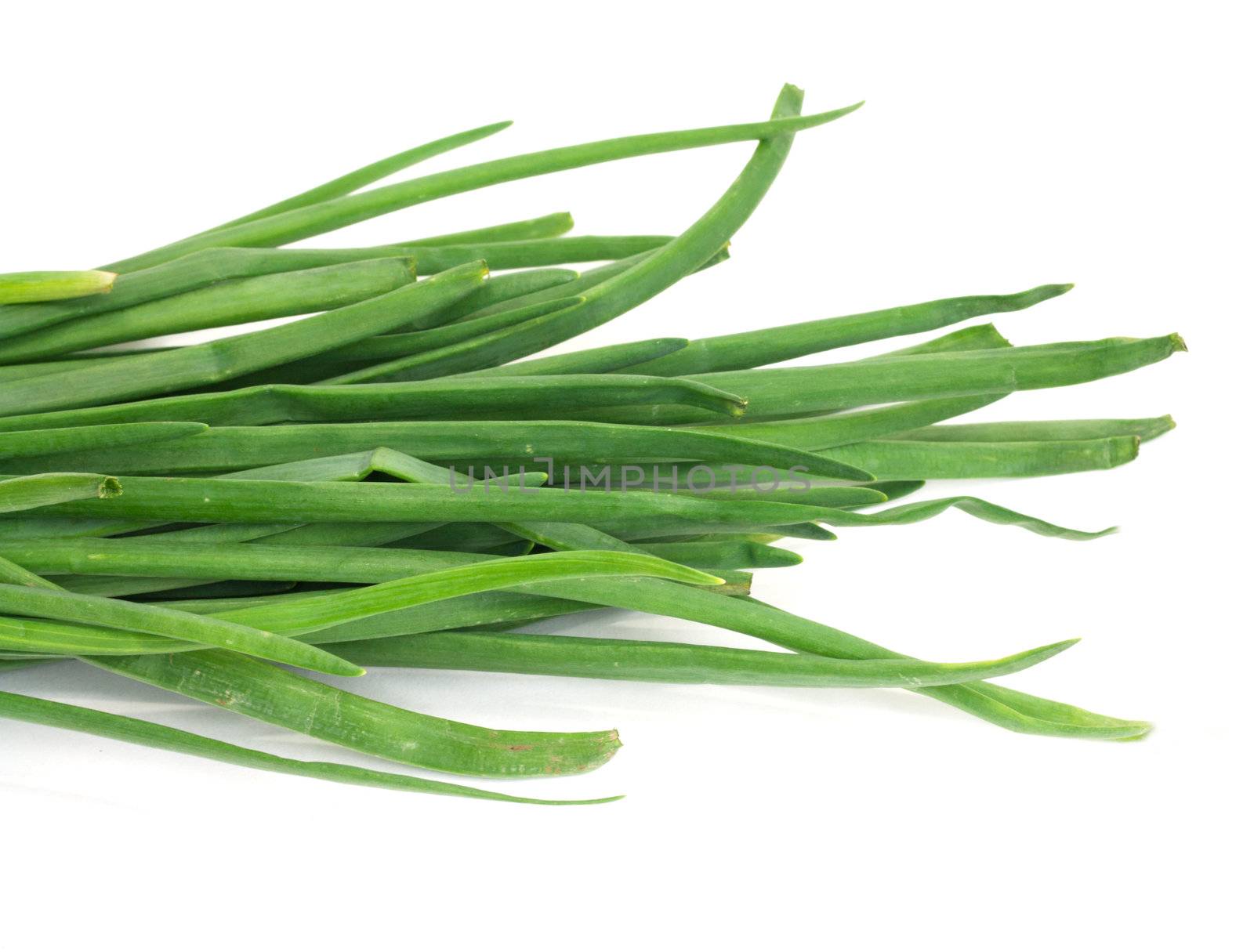 Healthy vegetable green onion isolated white on background 