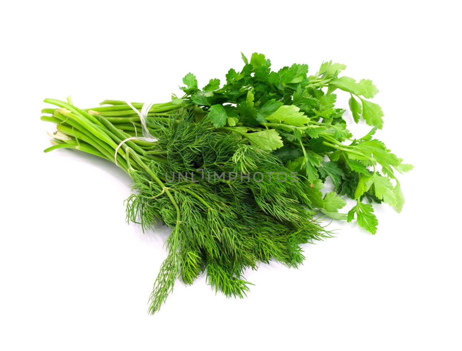 dill parsley to spices bunch isolated on white background  by schankz