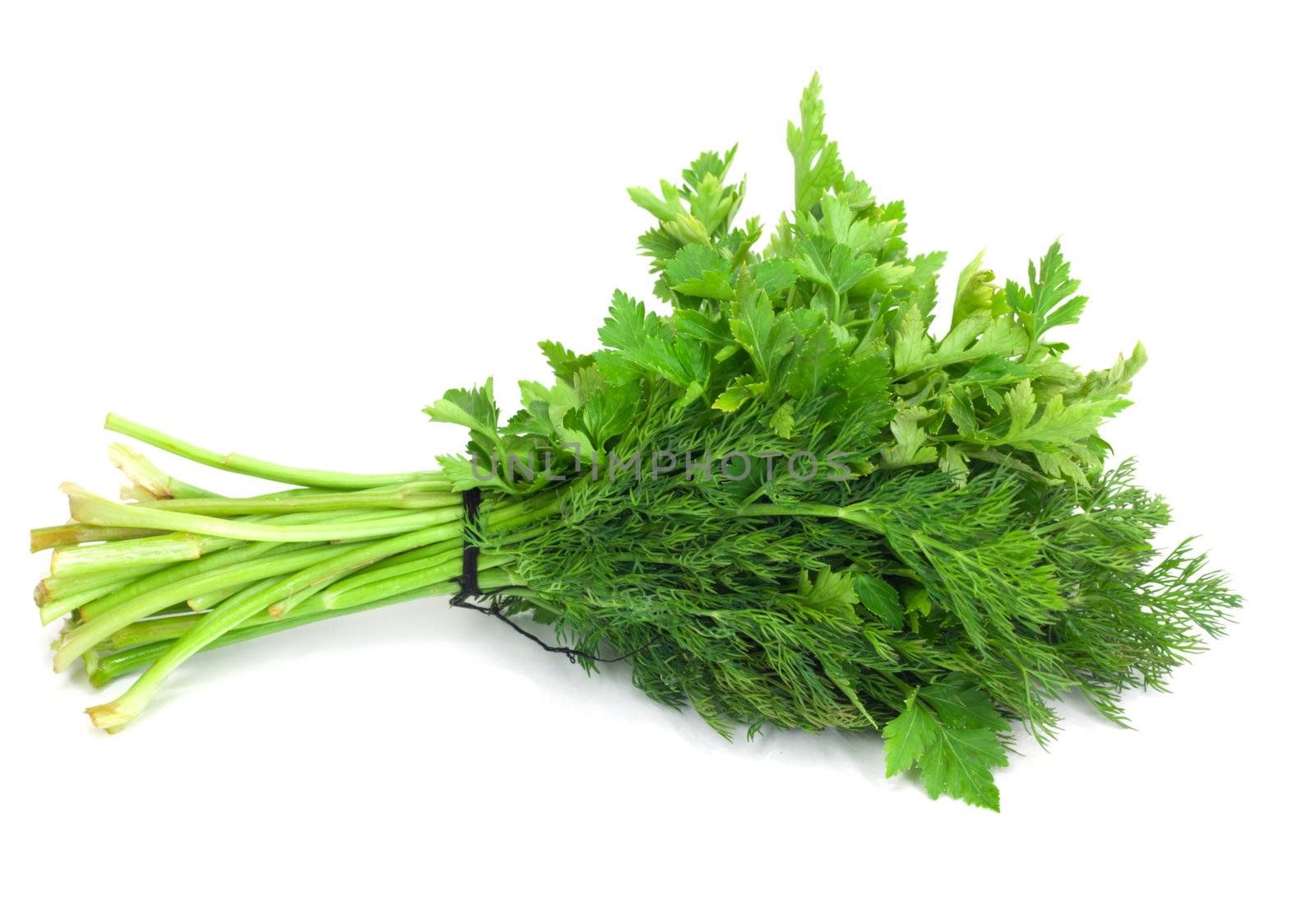 dill parsley to spices bunch isolated on white background  by schankz