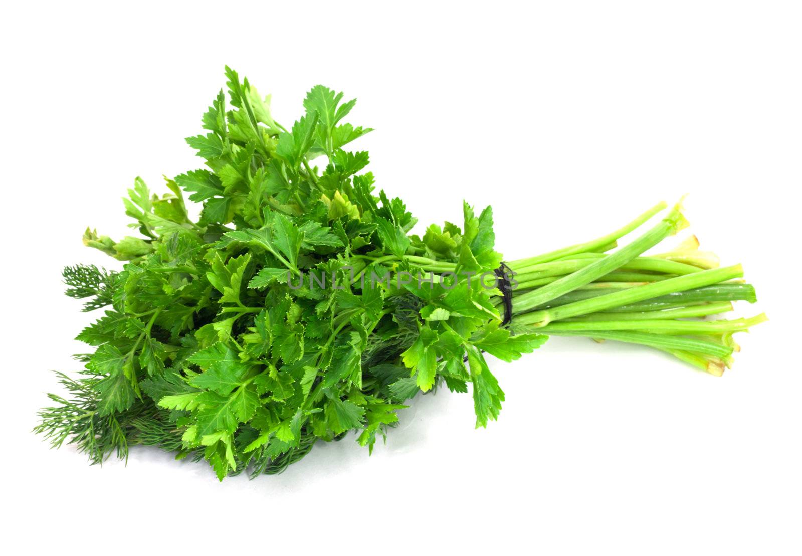 dill parsley to spices bunch isolated on white background  by schankz