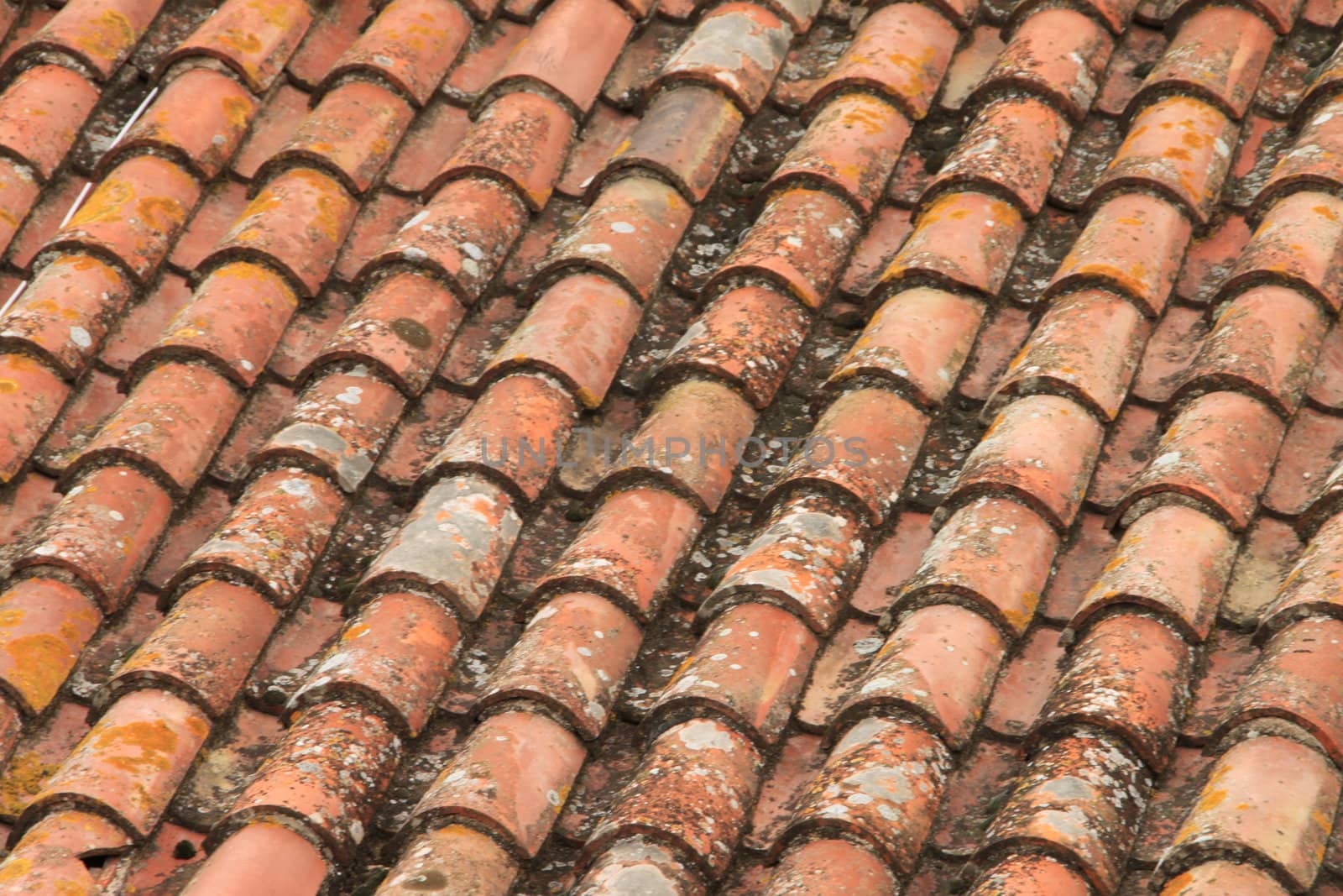 Tile roof in medieval a city