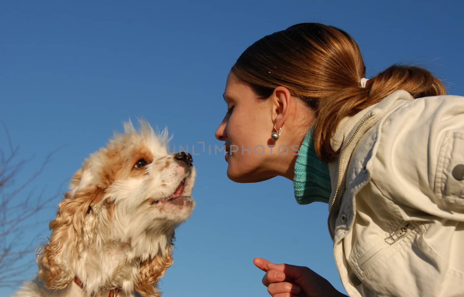 young purebred american cocker kissing his young owner girl