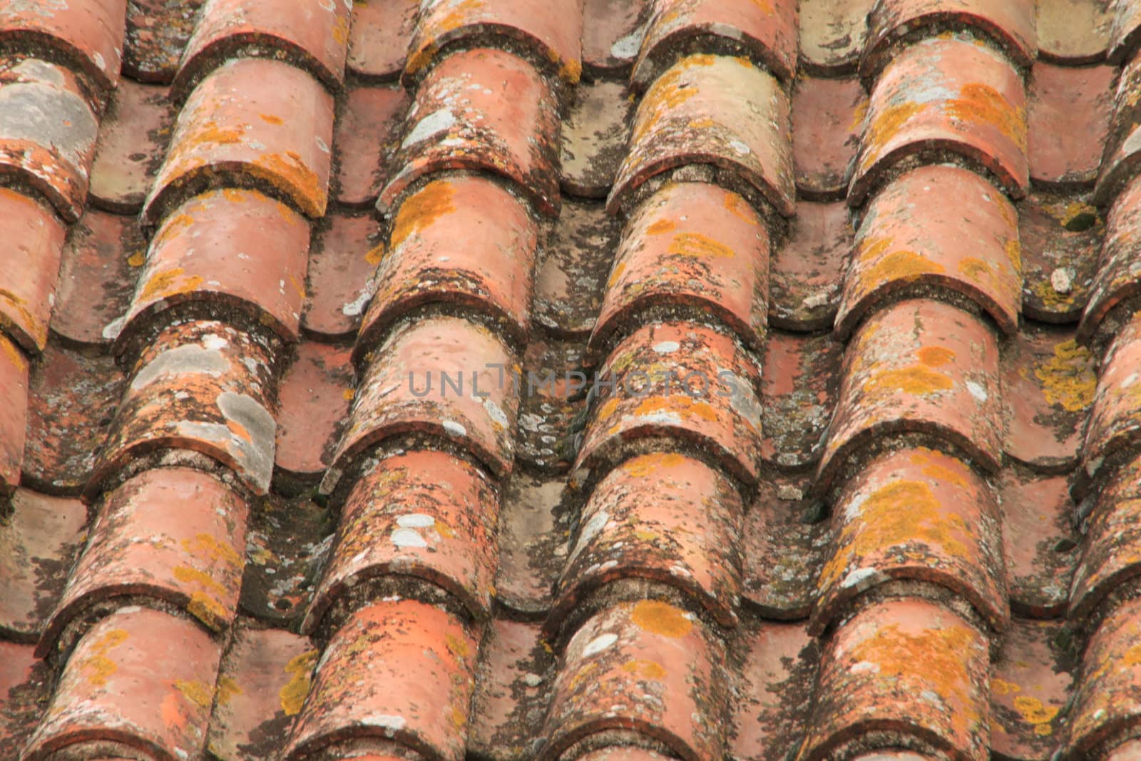 Tile roof in medieval a city