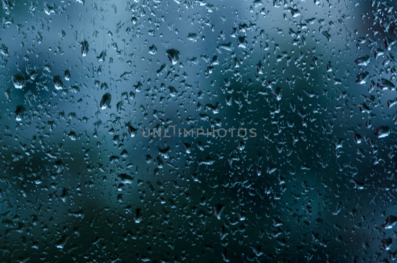 macro picture of rain drops on the window