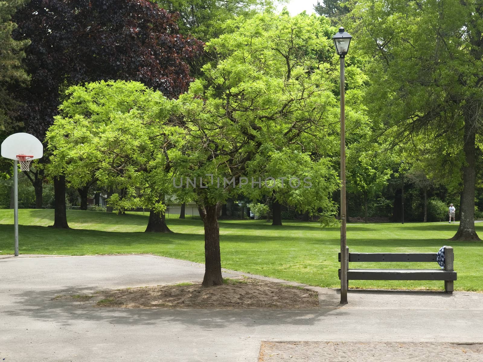 Public park in a neighborhood.