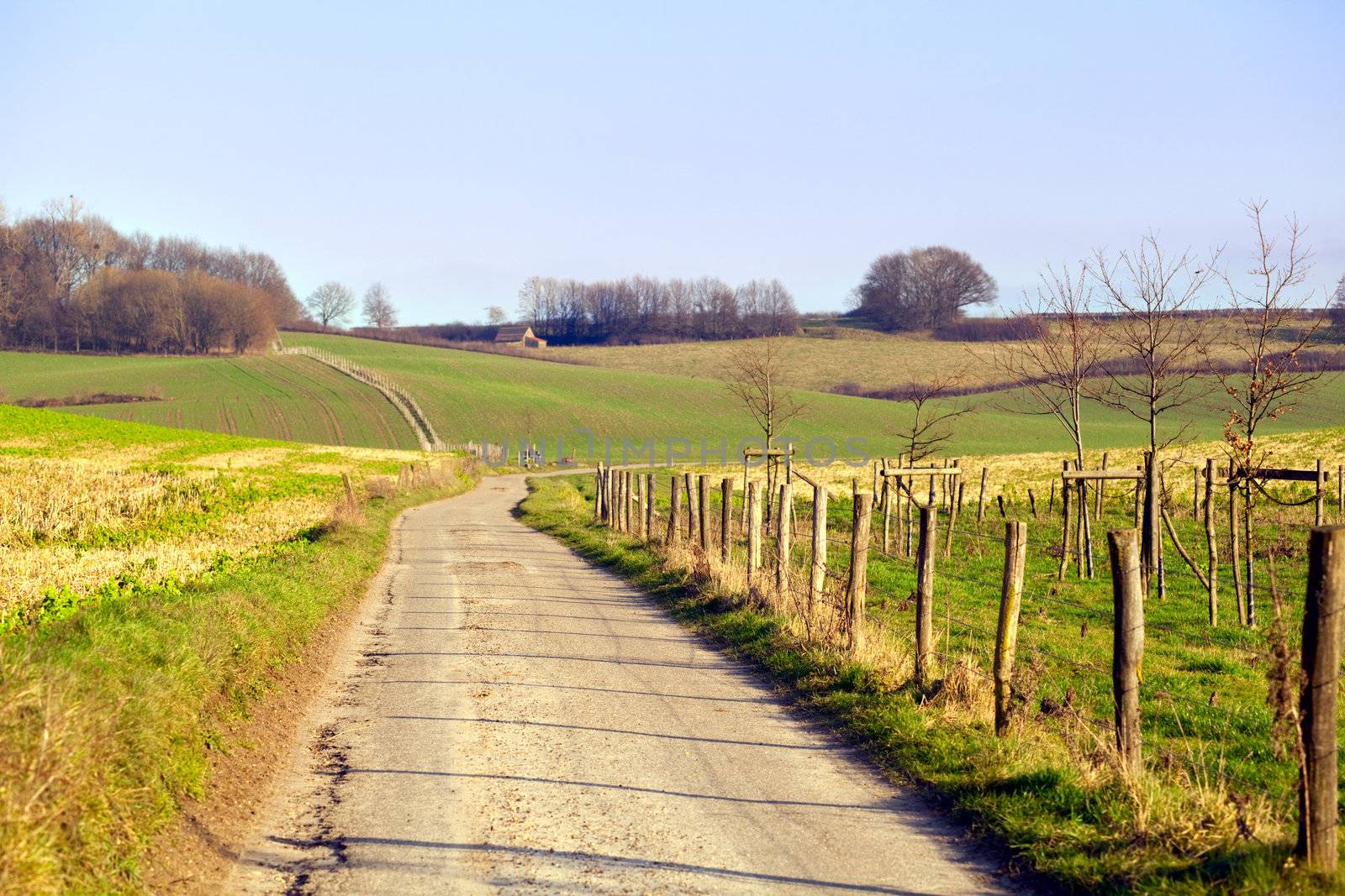 rural ground road in Limburg, Netherlands