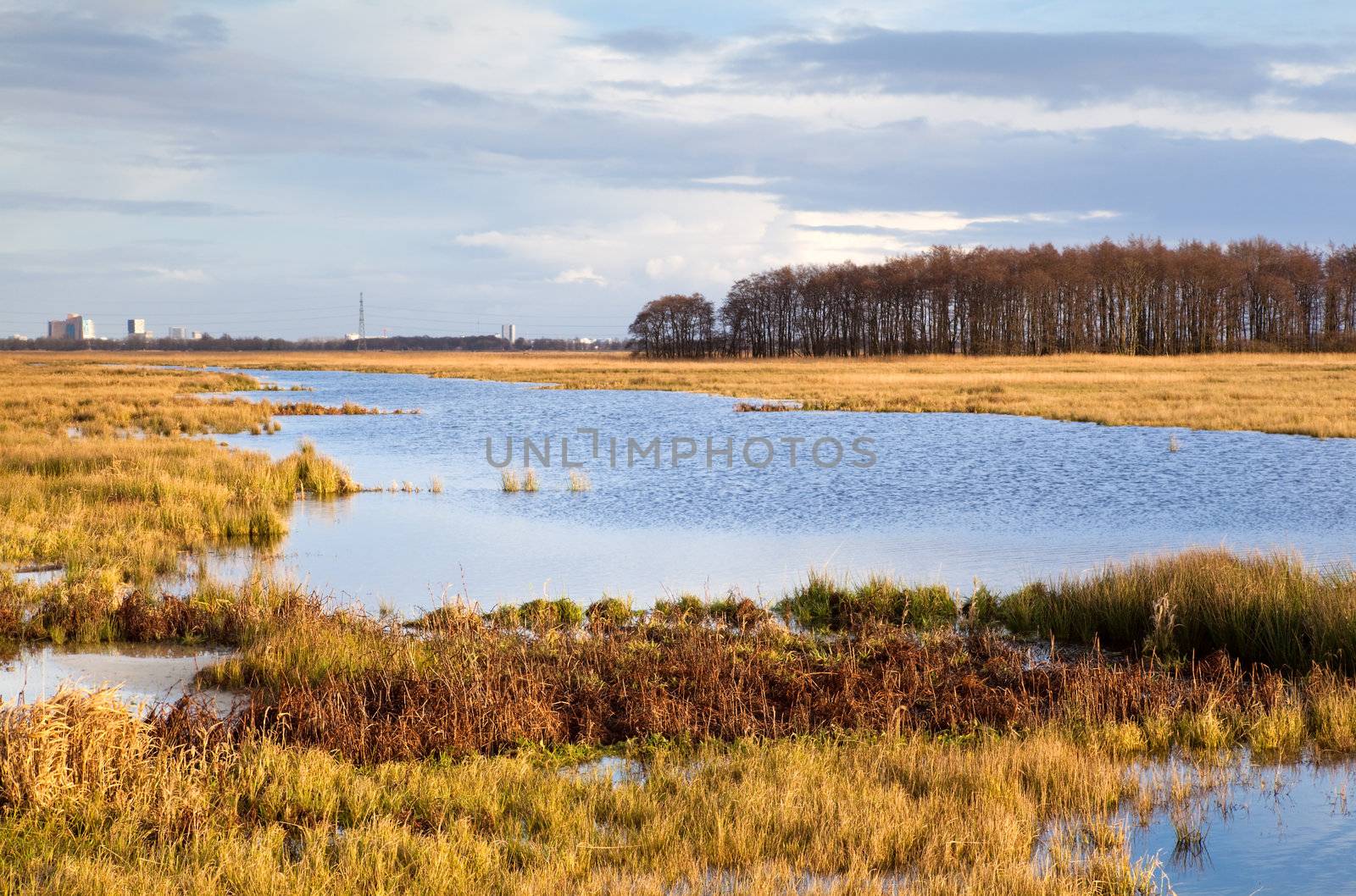 beautiful plain landscape with water and sky