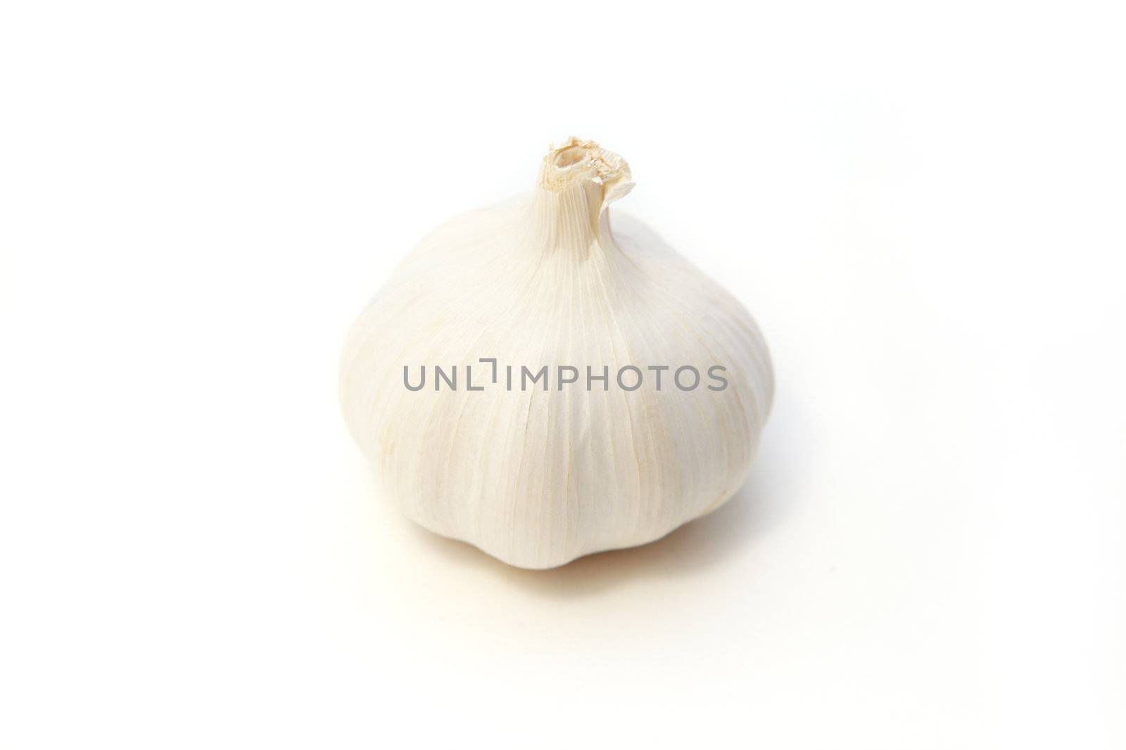 white garlic by catolla