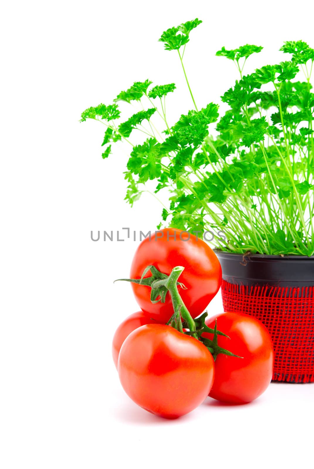 Red tomato with parsley isolated on white background.