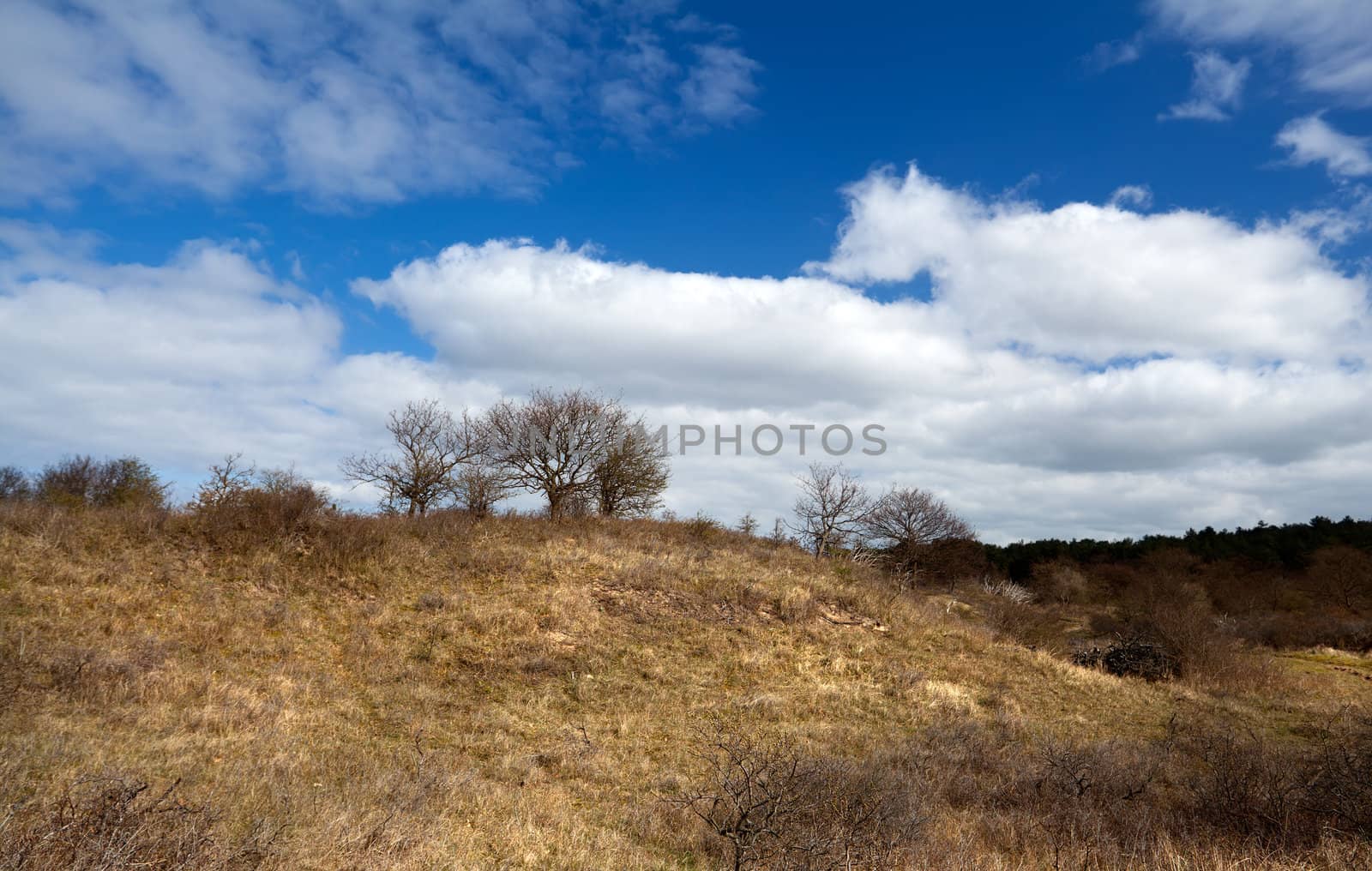 wild uncultivated hill by catolla
