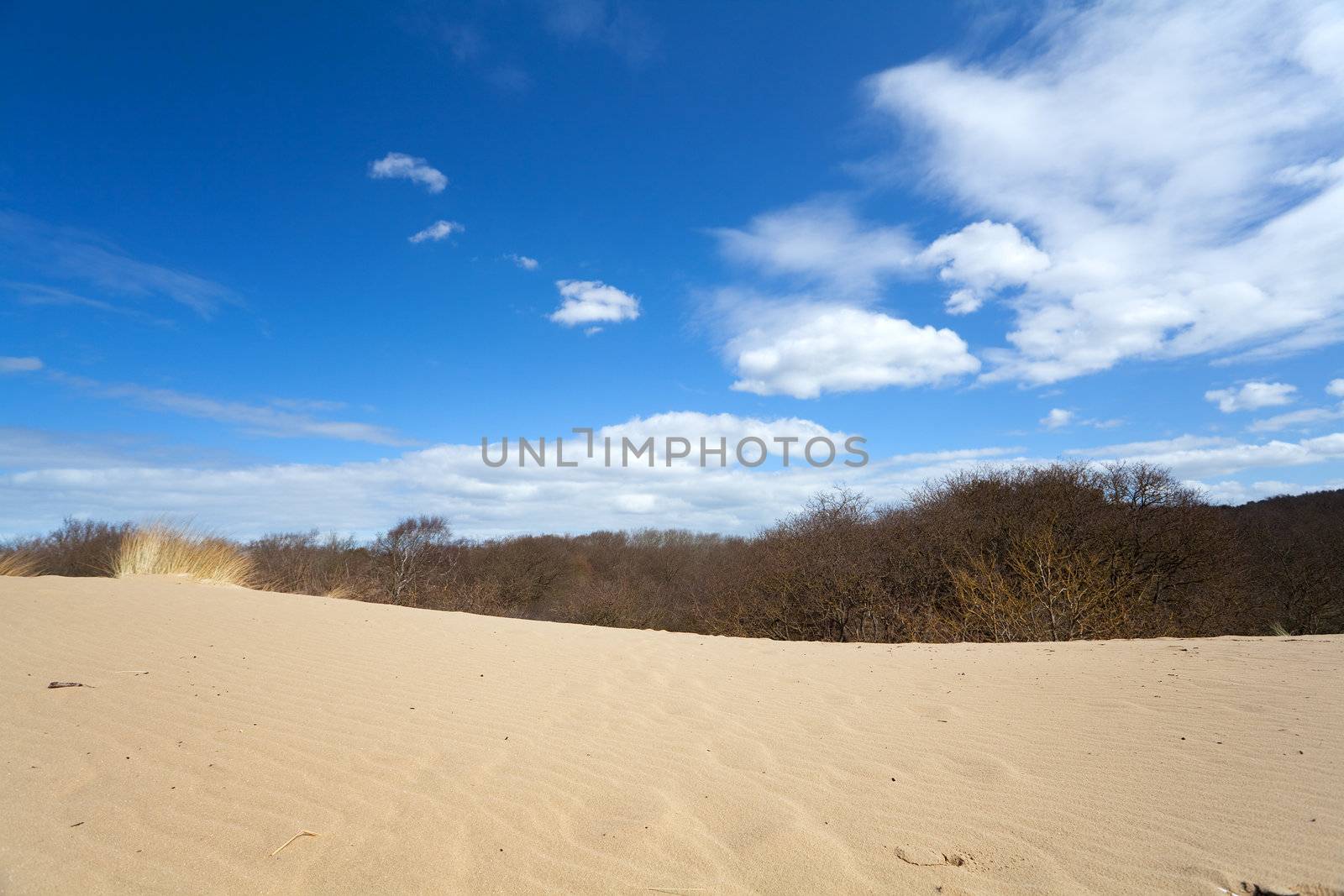 sandy desert and blue sky with white clouds