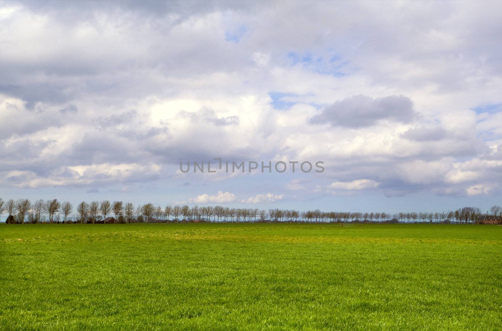 plain landscape in Groningen by catolla