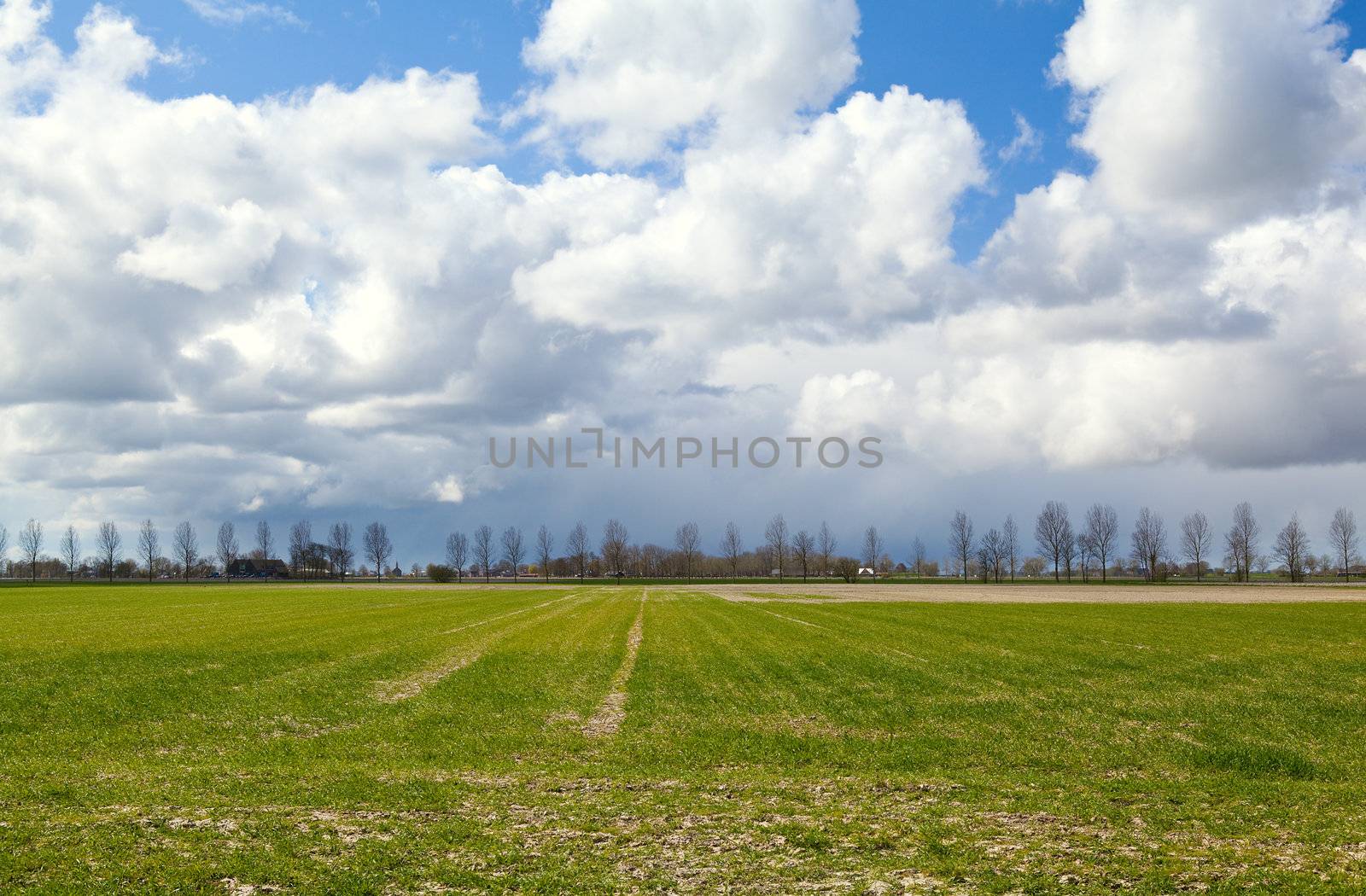 field and beautiful sky with puffy clouds by catolla