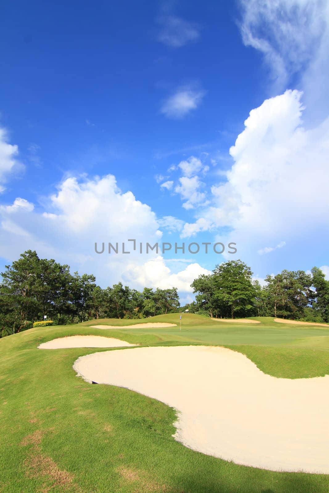 Beautiful golf course. 
 by rufous