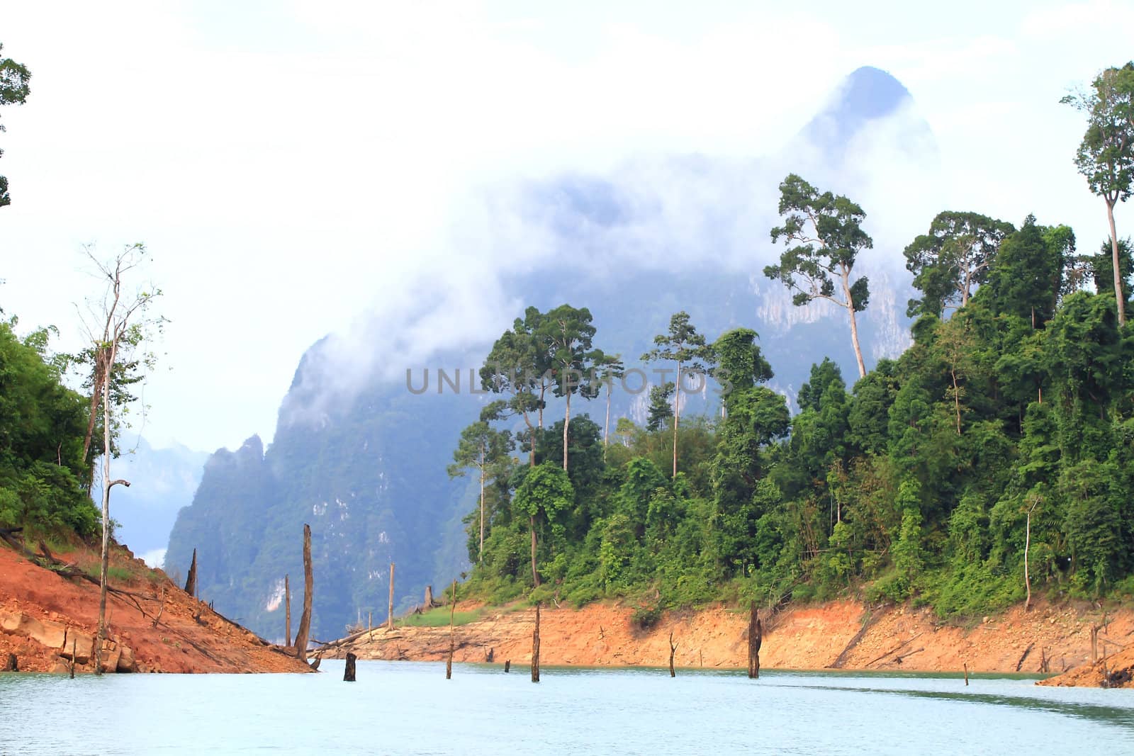 Khao-Sok, the popular national park of Thailand