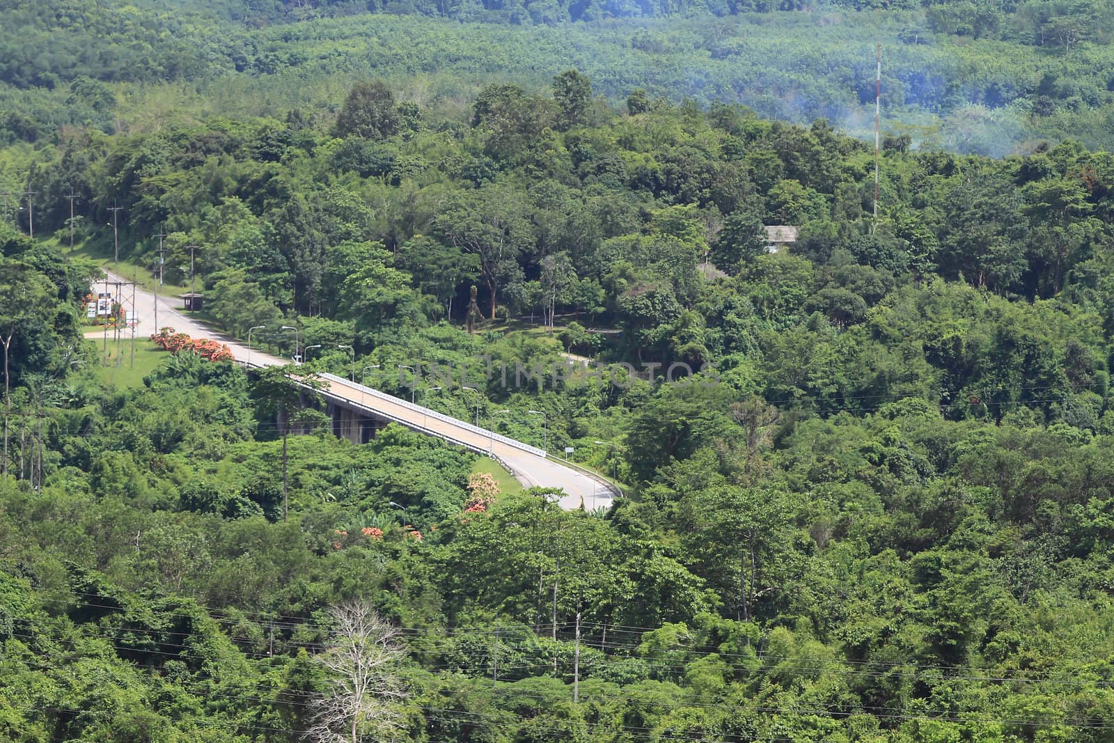 Mountain travel 
 by rufous