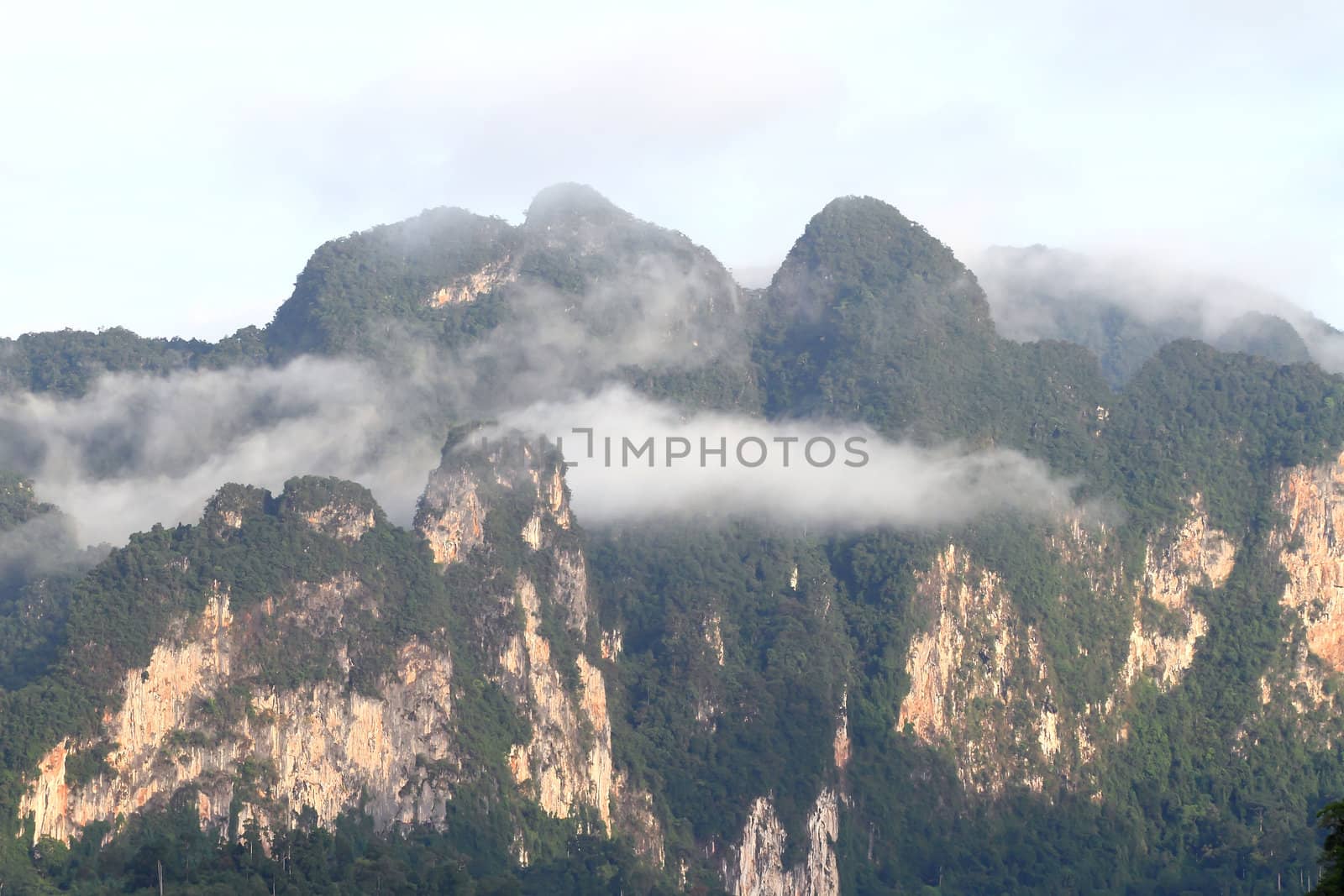 Khao-Sok, the popular national park of Thailand 
 by rufous