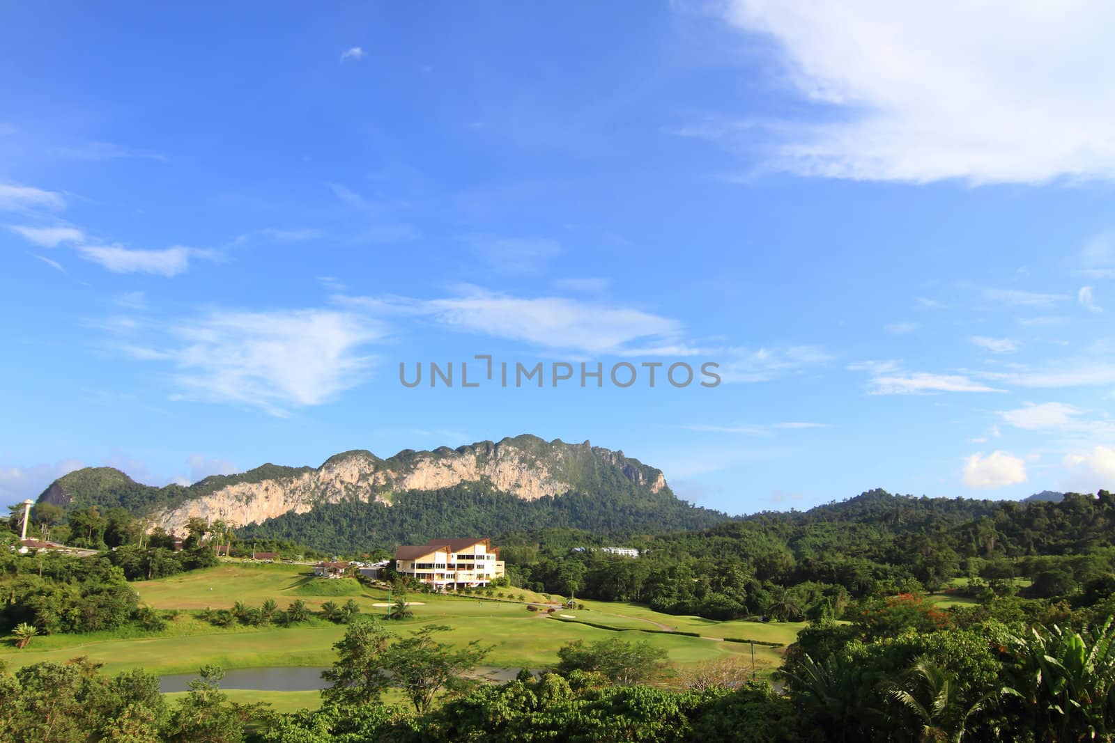 Green grass on a golf field 
 by rufous