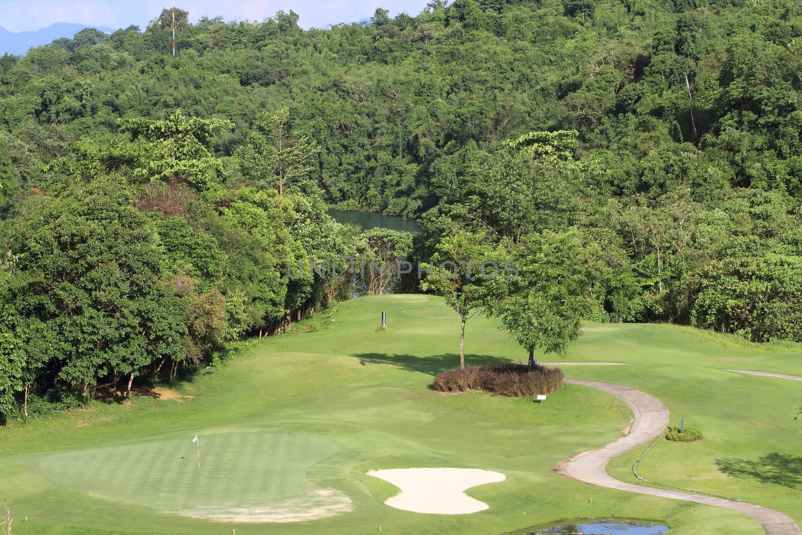 Green grass on a golf field 
 by rufous