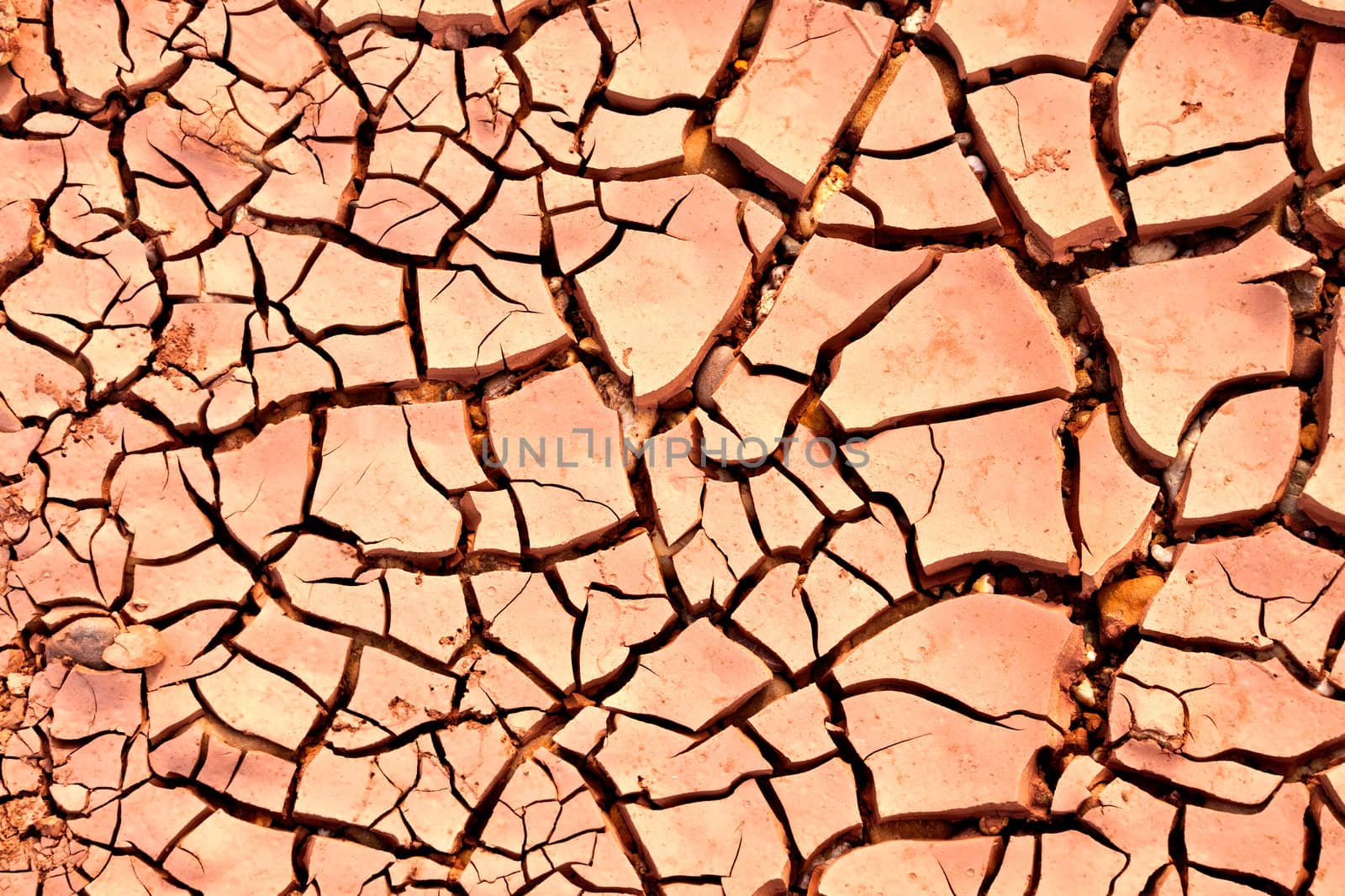 Dry land. Cracked ground background. by Yuri2012