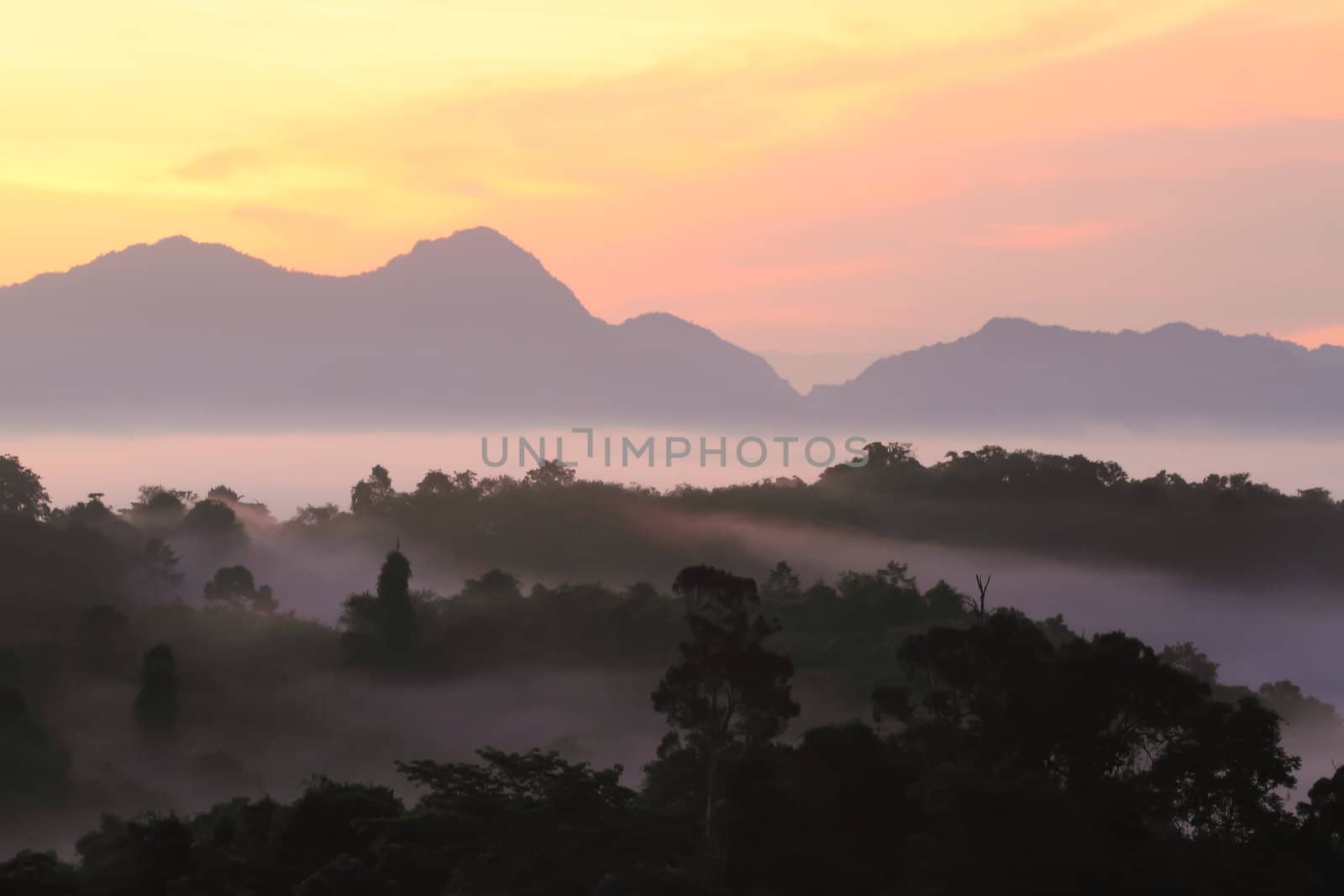 Dramatic clouds with mountain and tree in the morning  by rufous