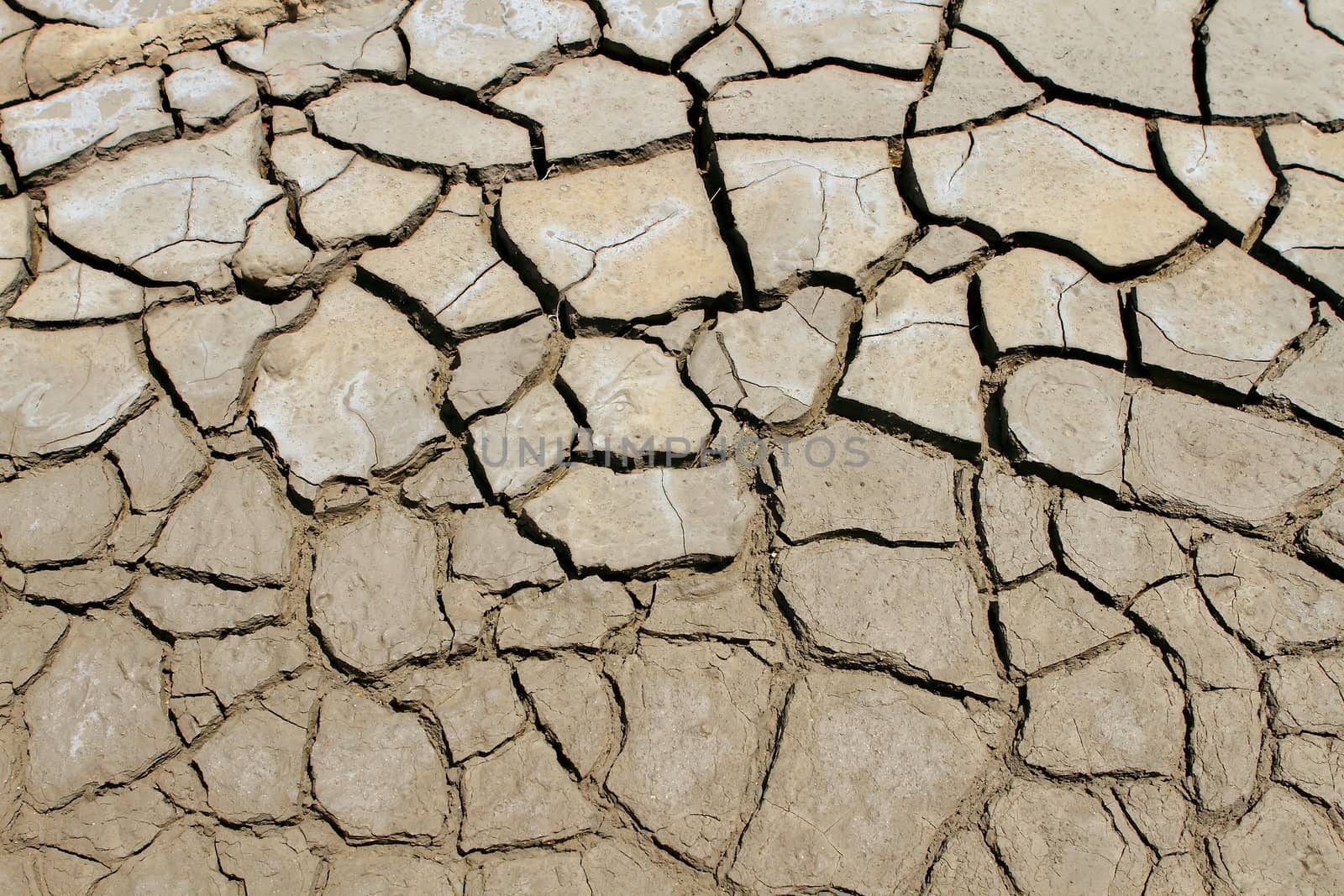 Dry soil in arid areas