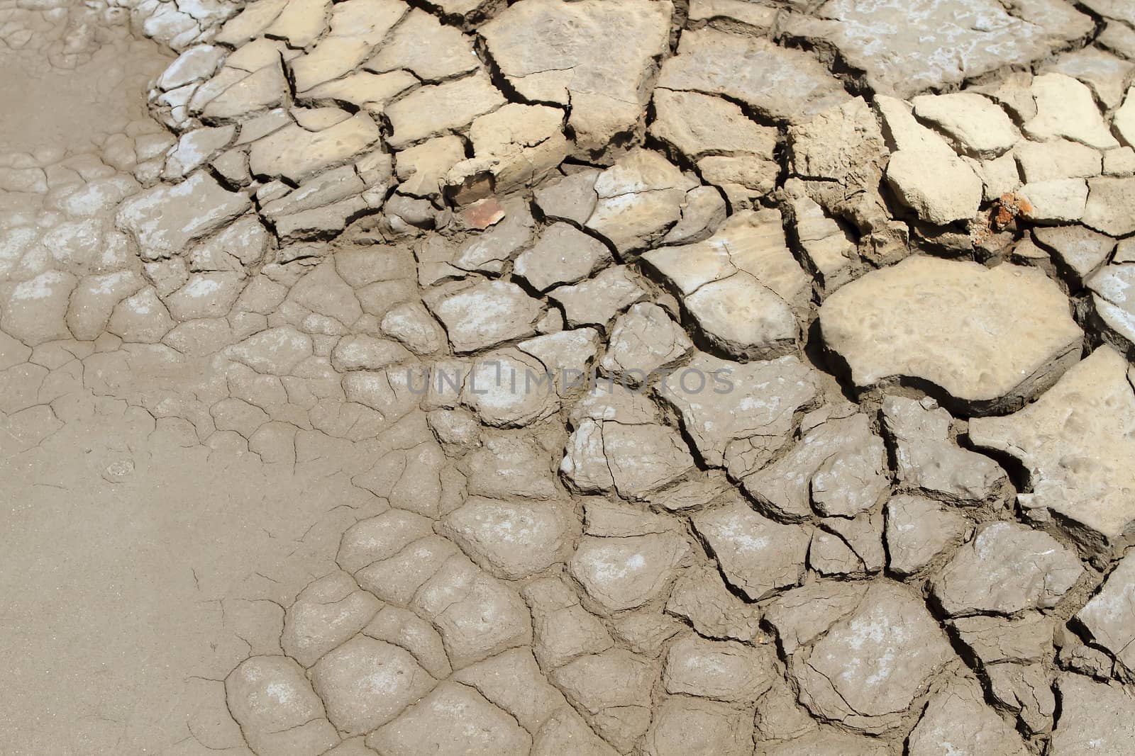 Dry soil in arid areas