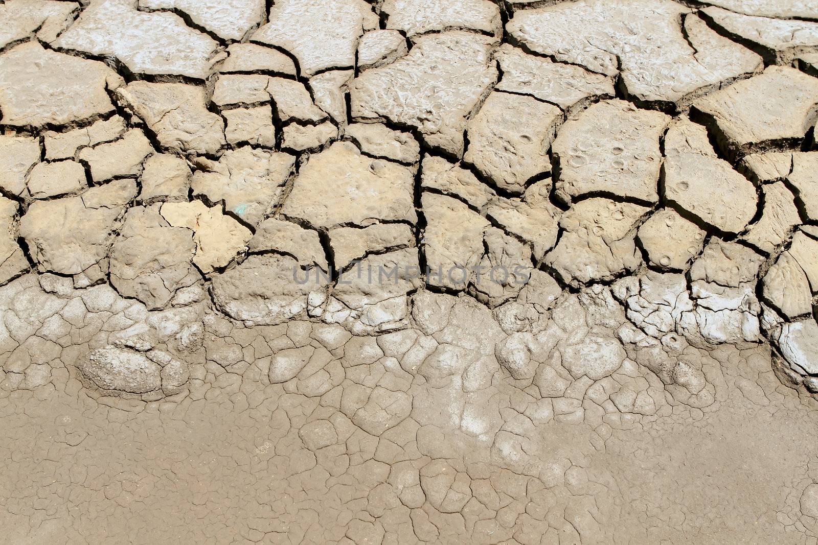 Dry soil in arid areas 
 by rufous