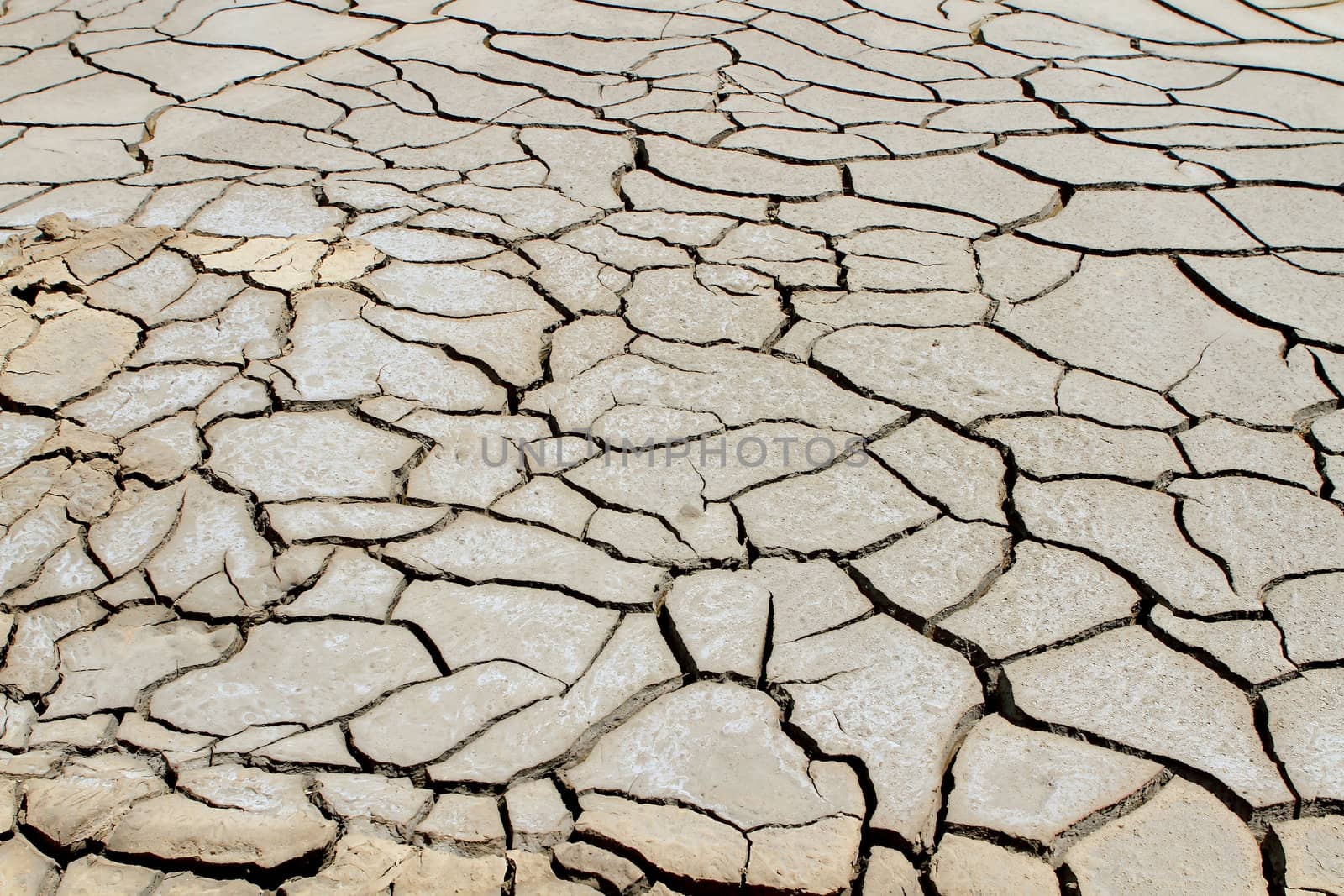 Dry soil in arid areas