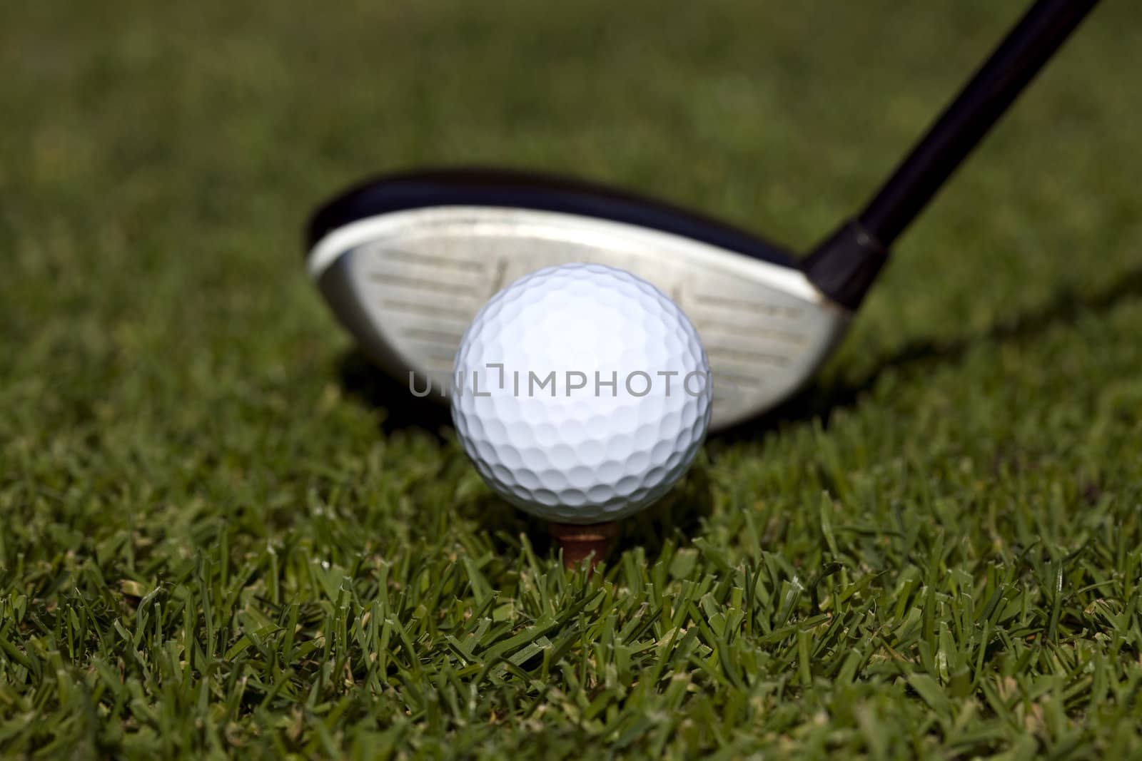 Close up of a golfball on a tee with a three wood