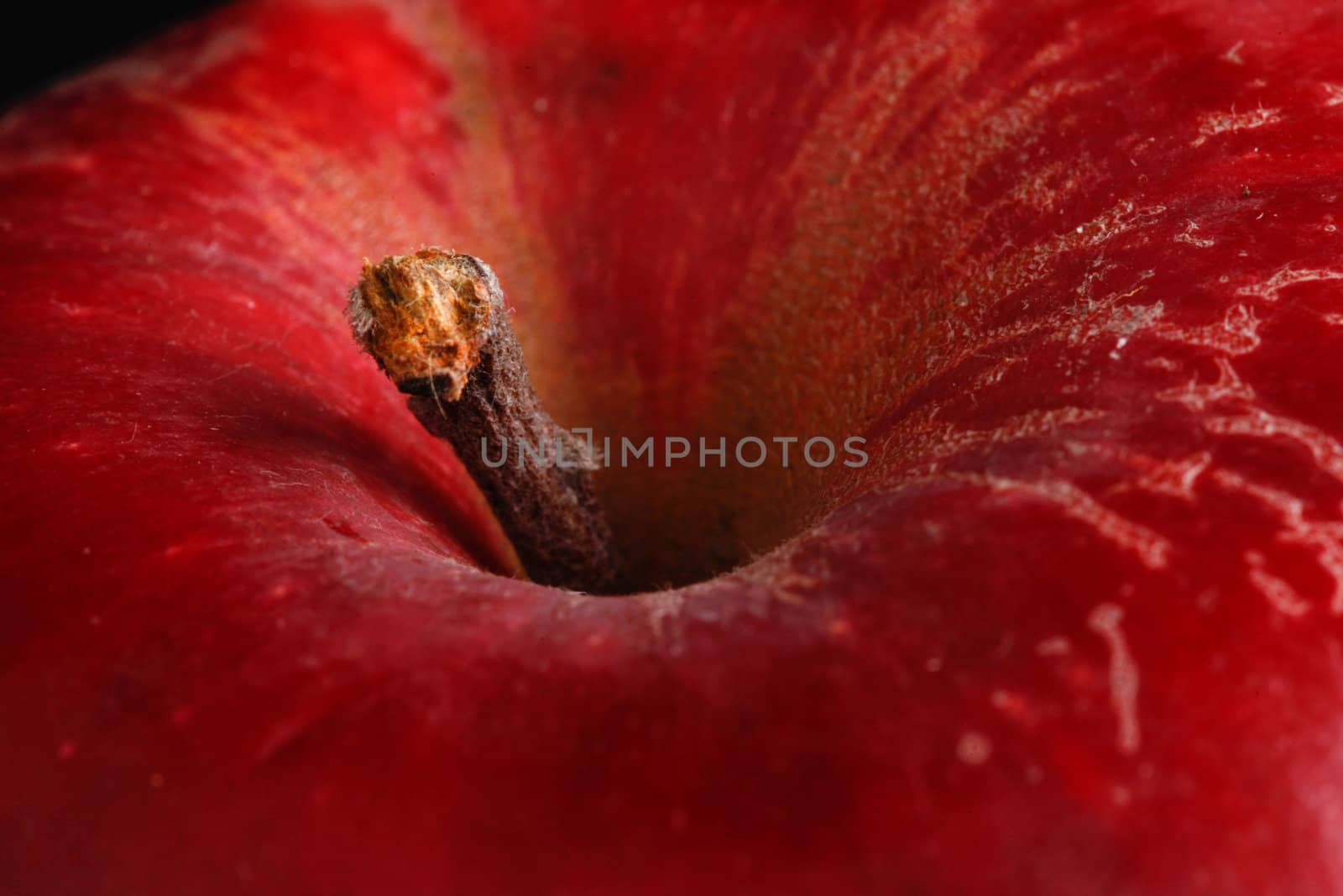 close-up of red apple