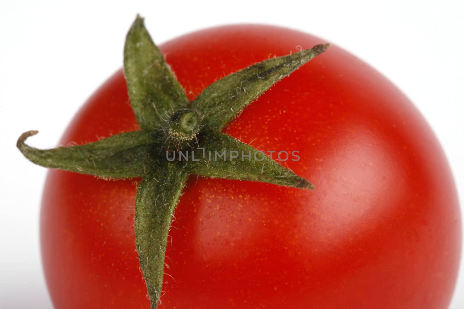 closeup of a red tomato
