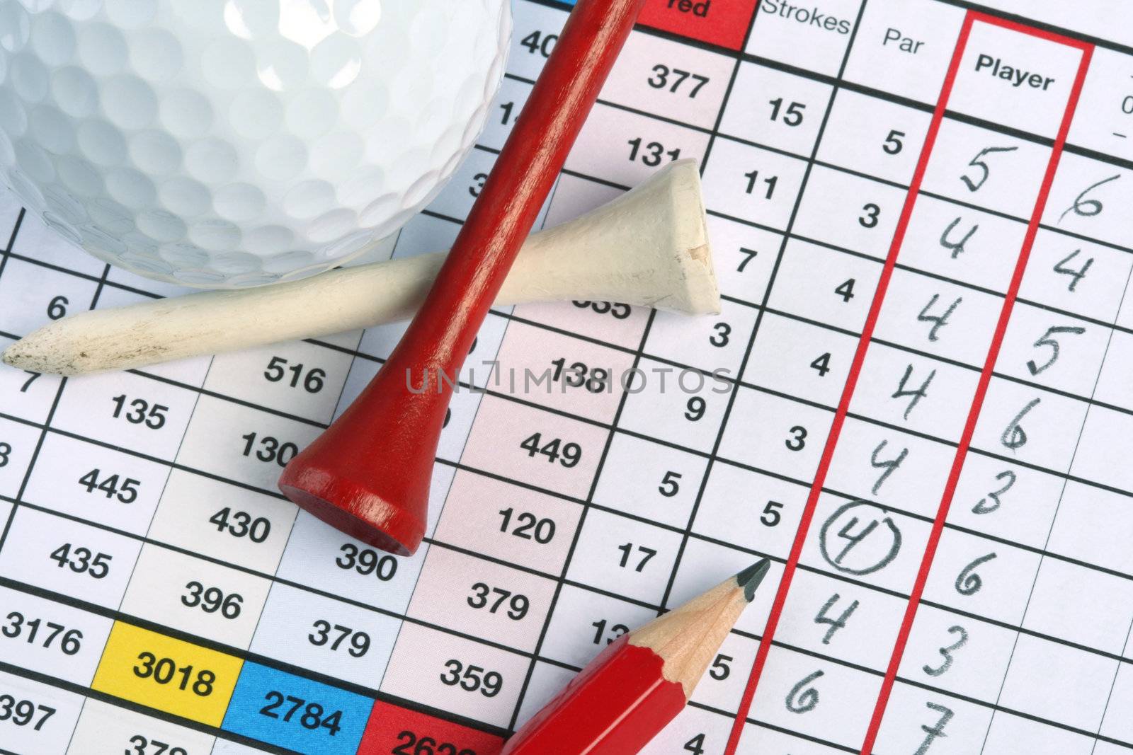 Golf Scorecard with birdie circled