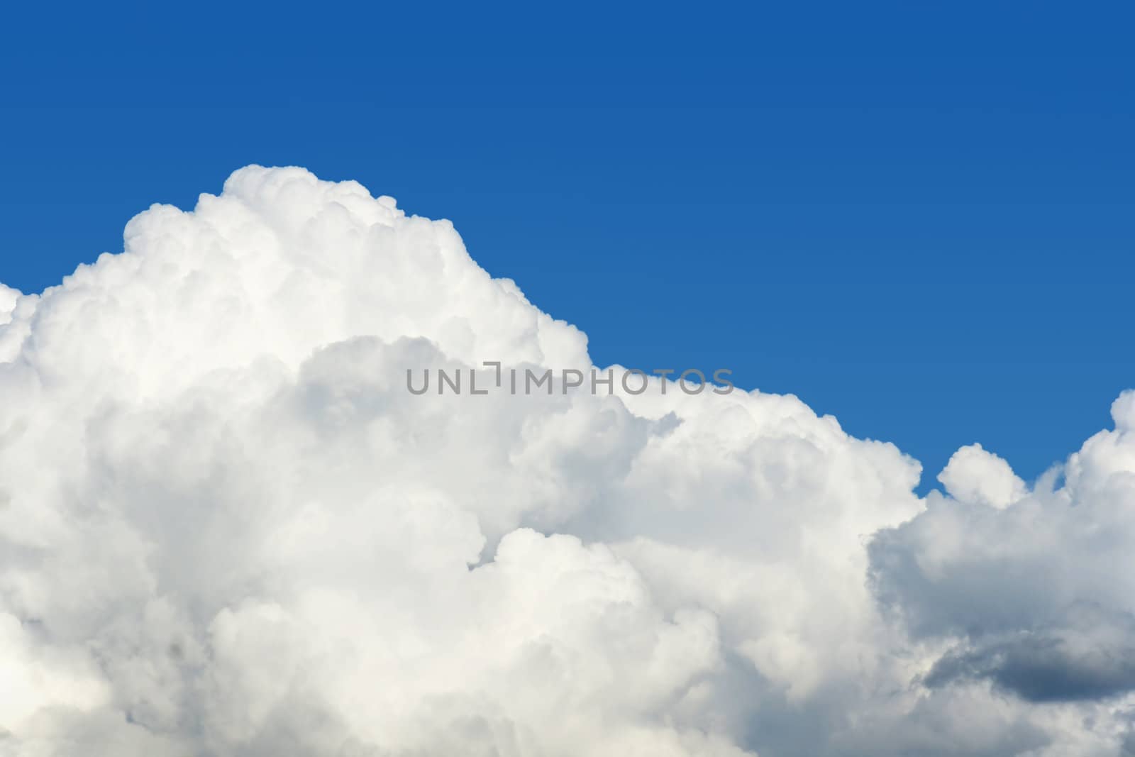 Beautiful white puffy cumulus clouds over a perfect blue sky, superb nature background with copy space.