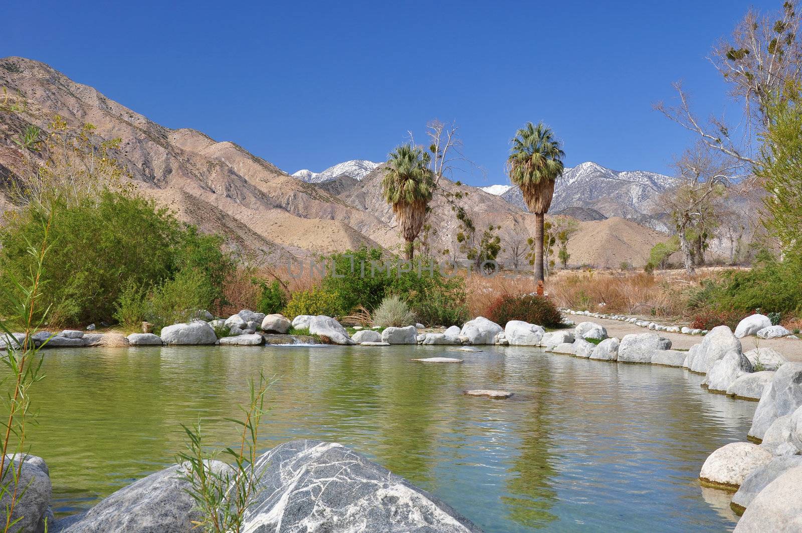This pond is an oasis in the arid desert region of Whitewater Canyon near Palm Springs, California.